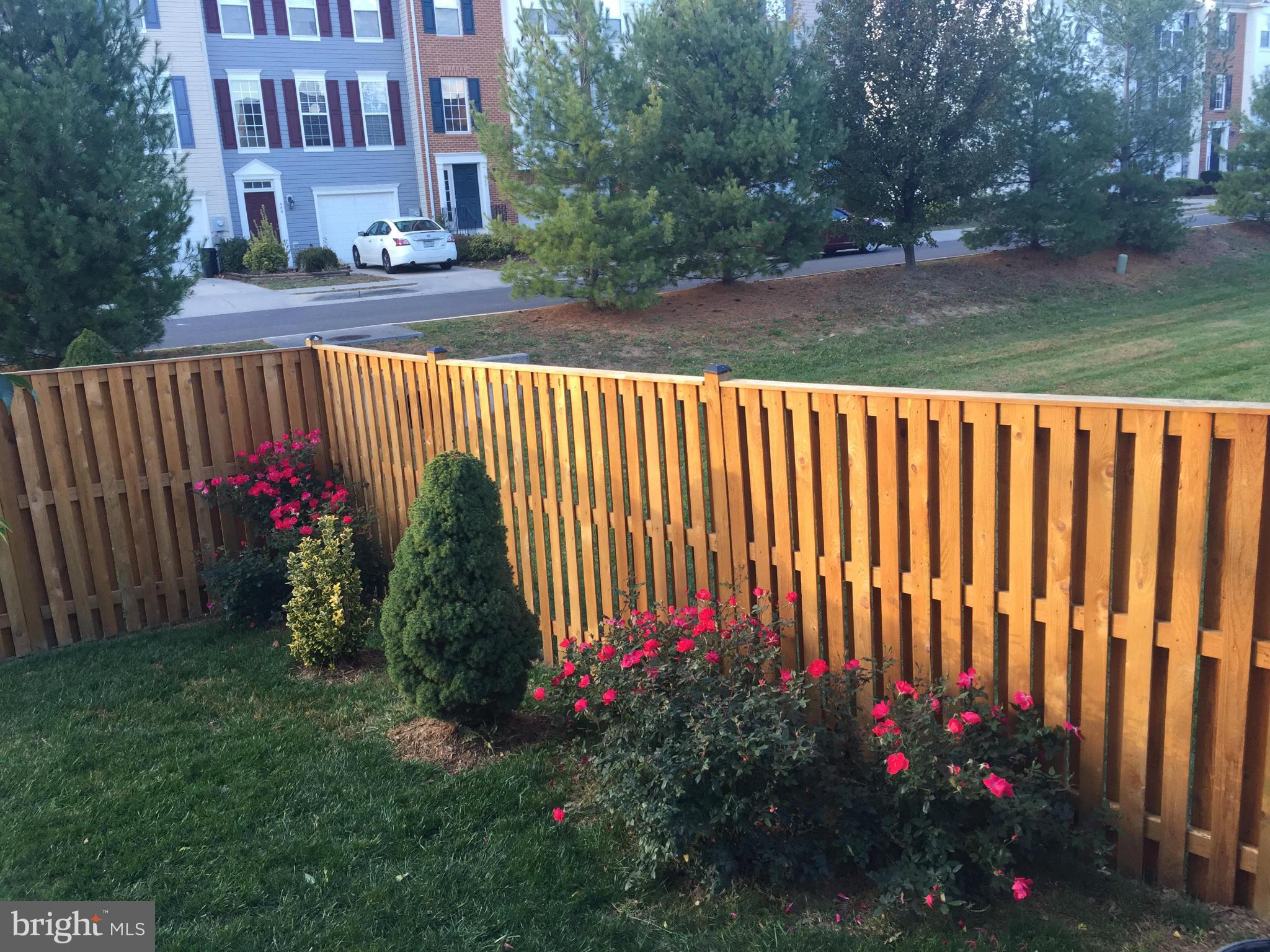 LEXINGTON COURT - Residential