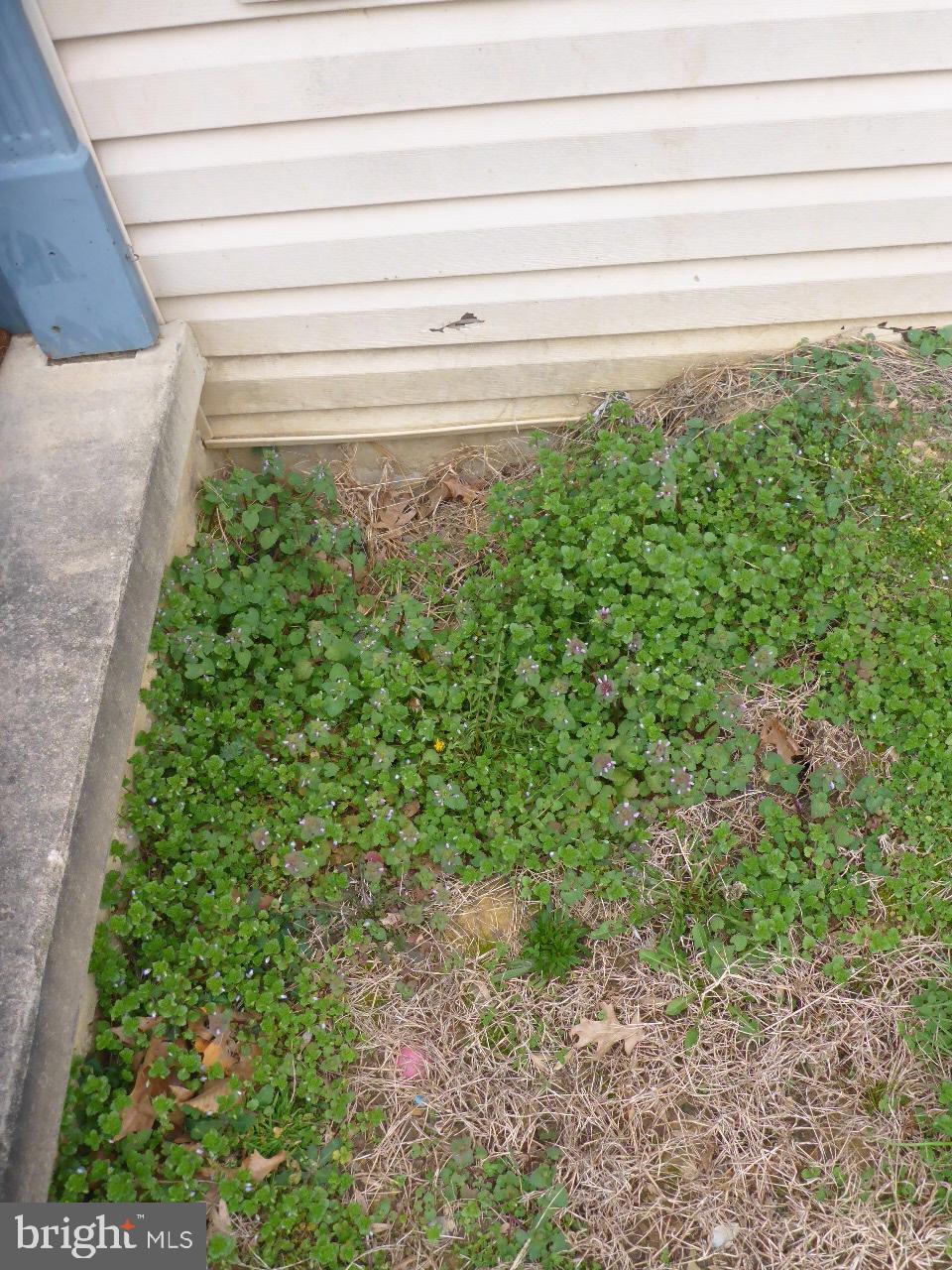 TIMBERBROOK - Residential