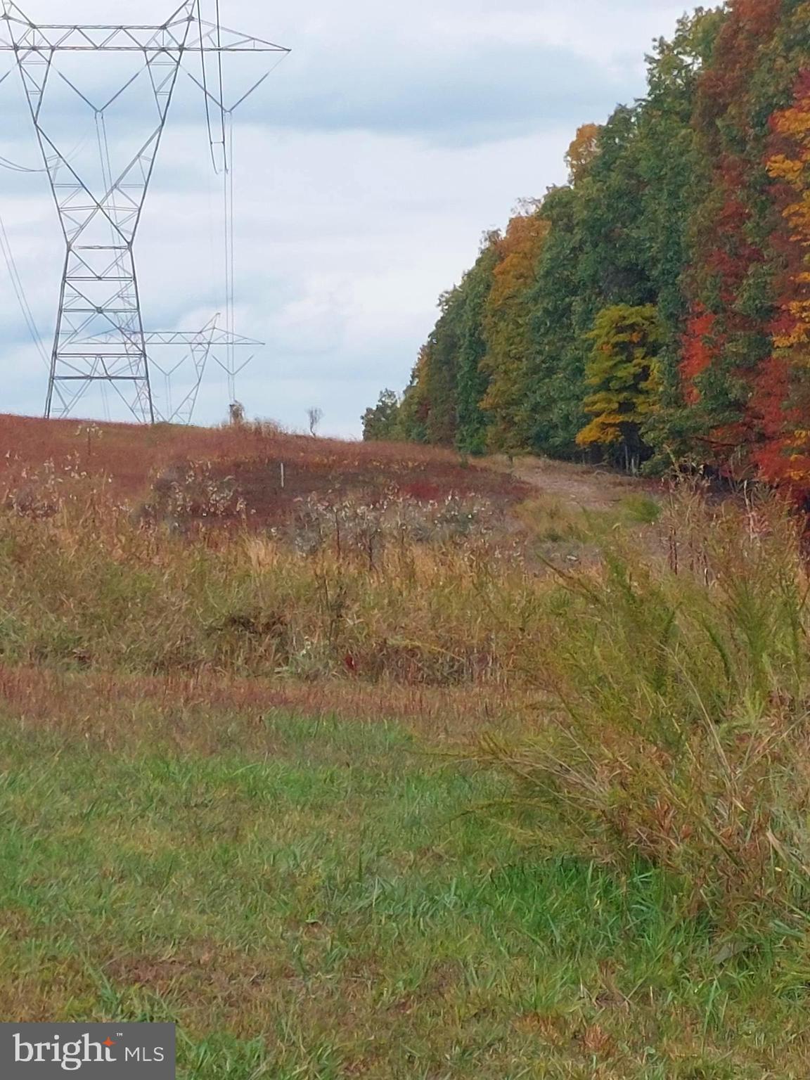 SPRING GAP MOUNTAIN - Land