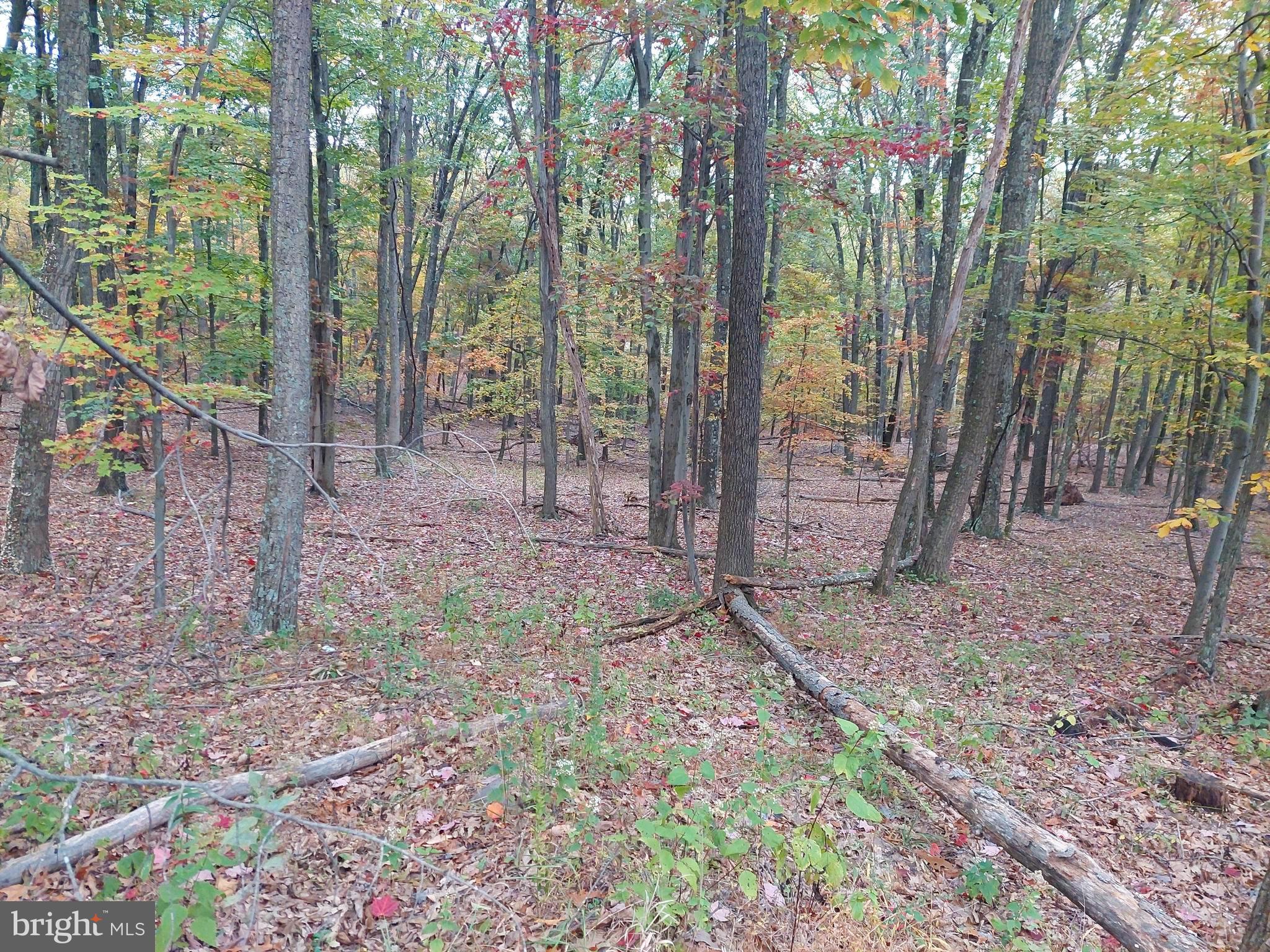 SPRING GAP MOUNTAIN - Land