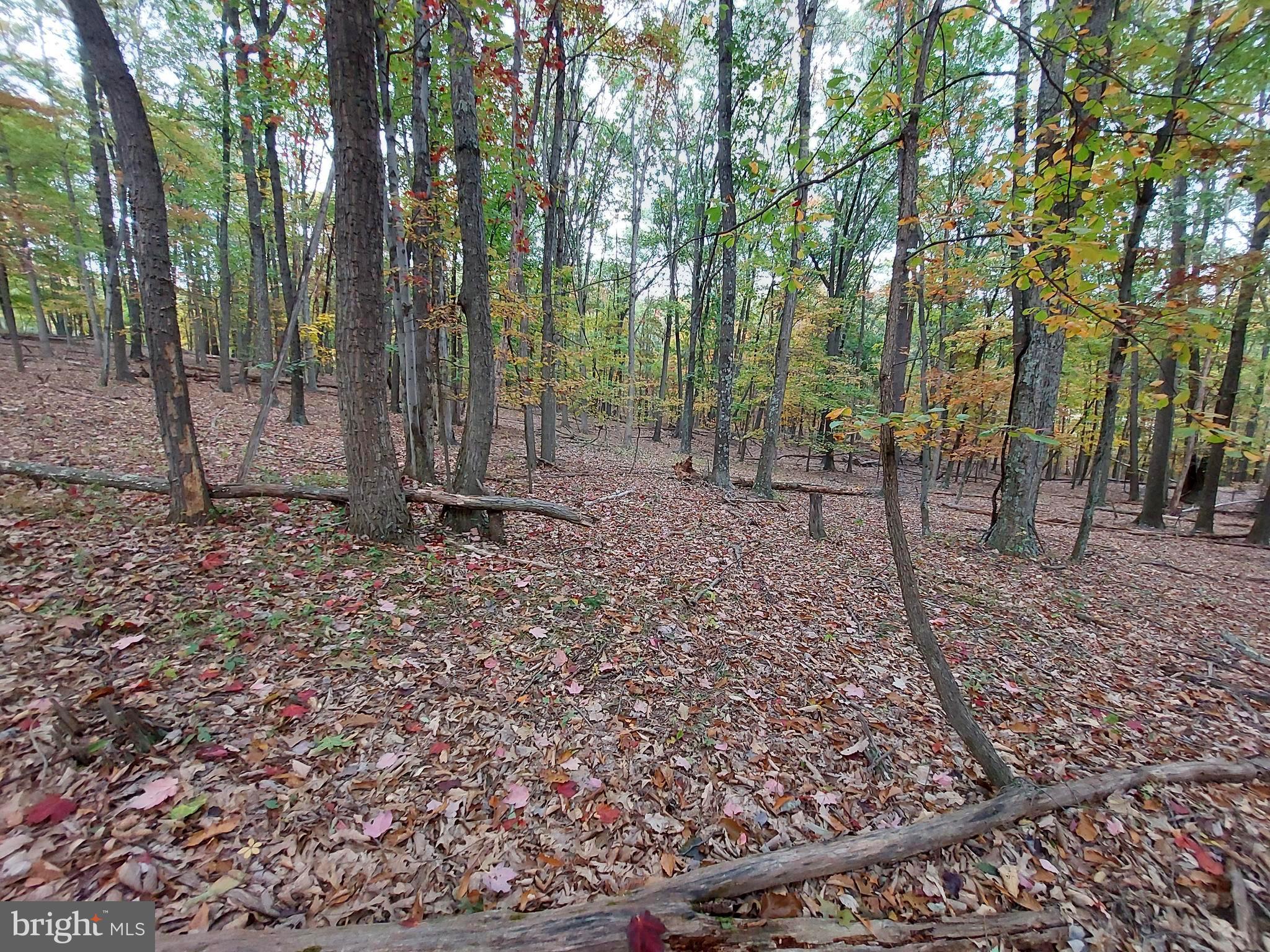 SPRING GAP MOUNTAIN - Land