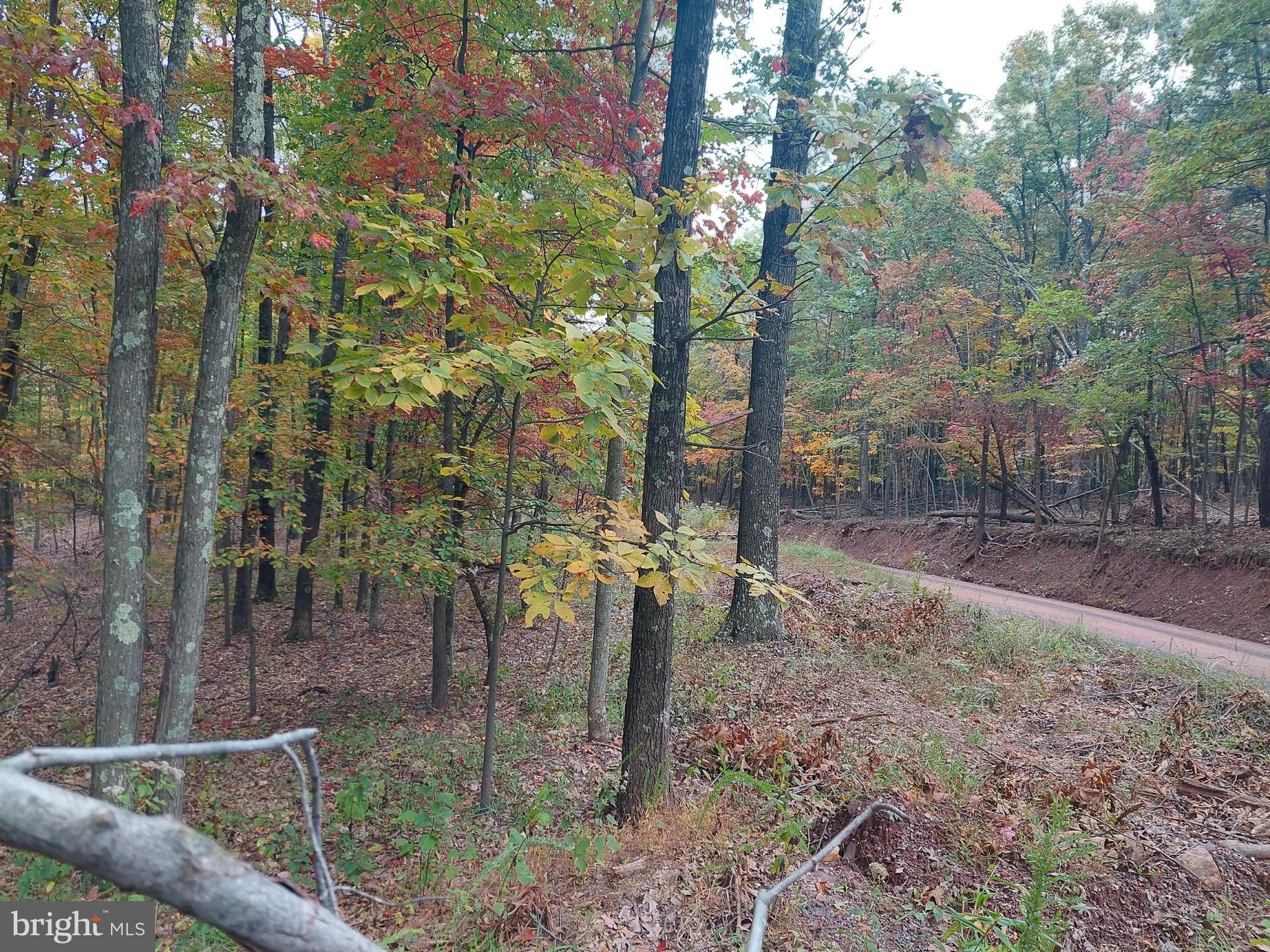 SPRING GAP MOUNTAIN - Land