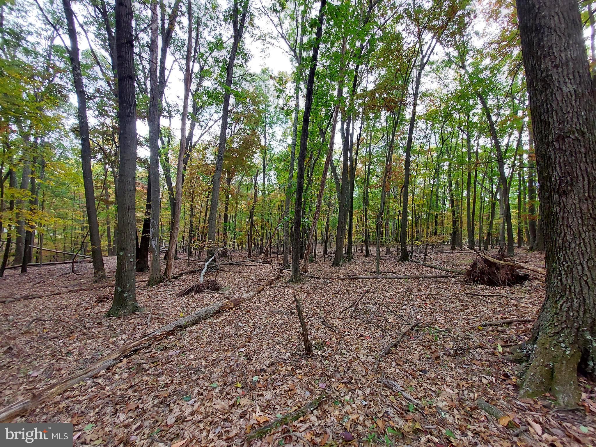 SPRING GAP MOUNTAIN - Land