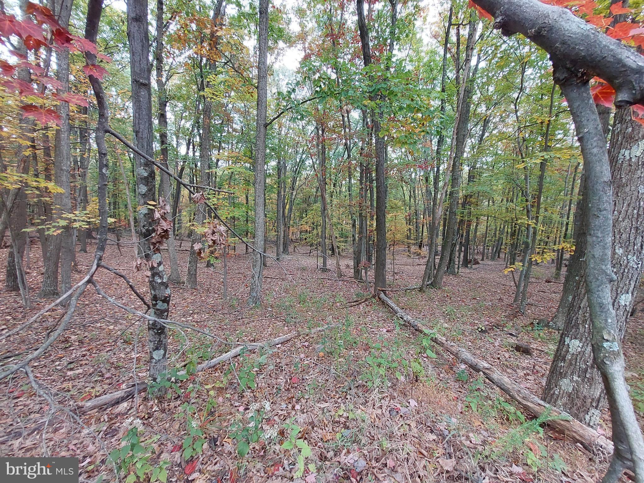 SPRING GAP MOUNTAIN - Land