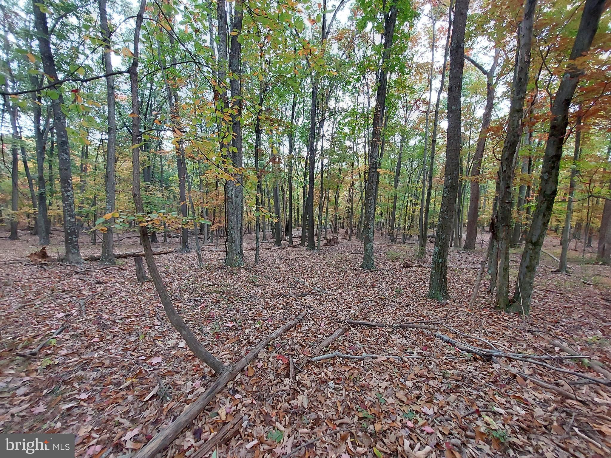 SPRING GAP MOUNTAIN - Land