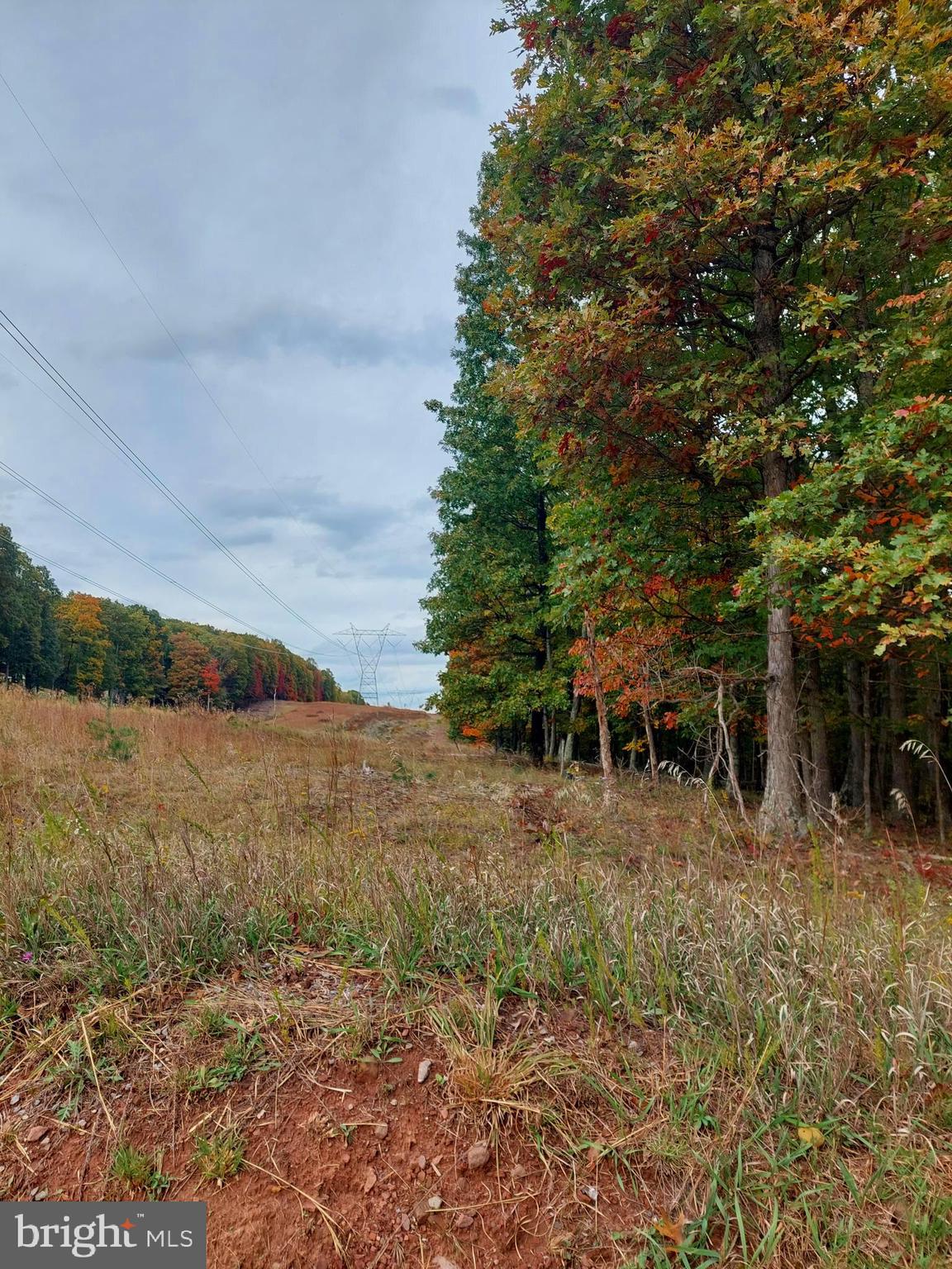 SPRING GAP MOUNTAIN - Land