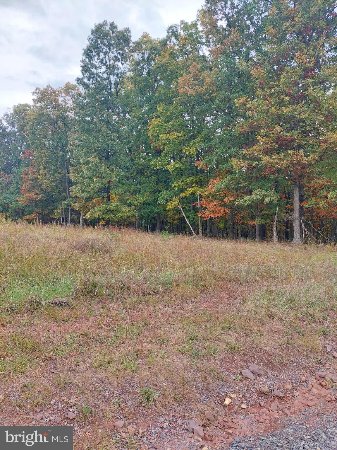 SPRING GAP MOUNTAIN - Land