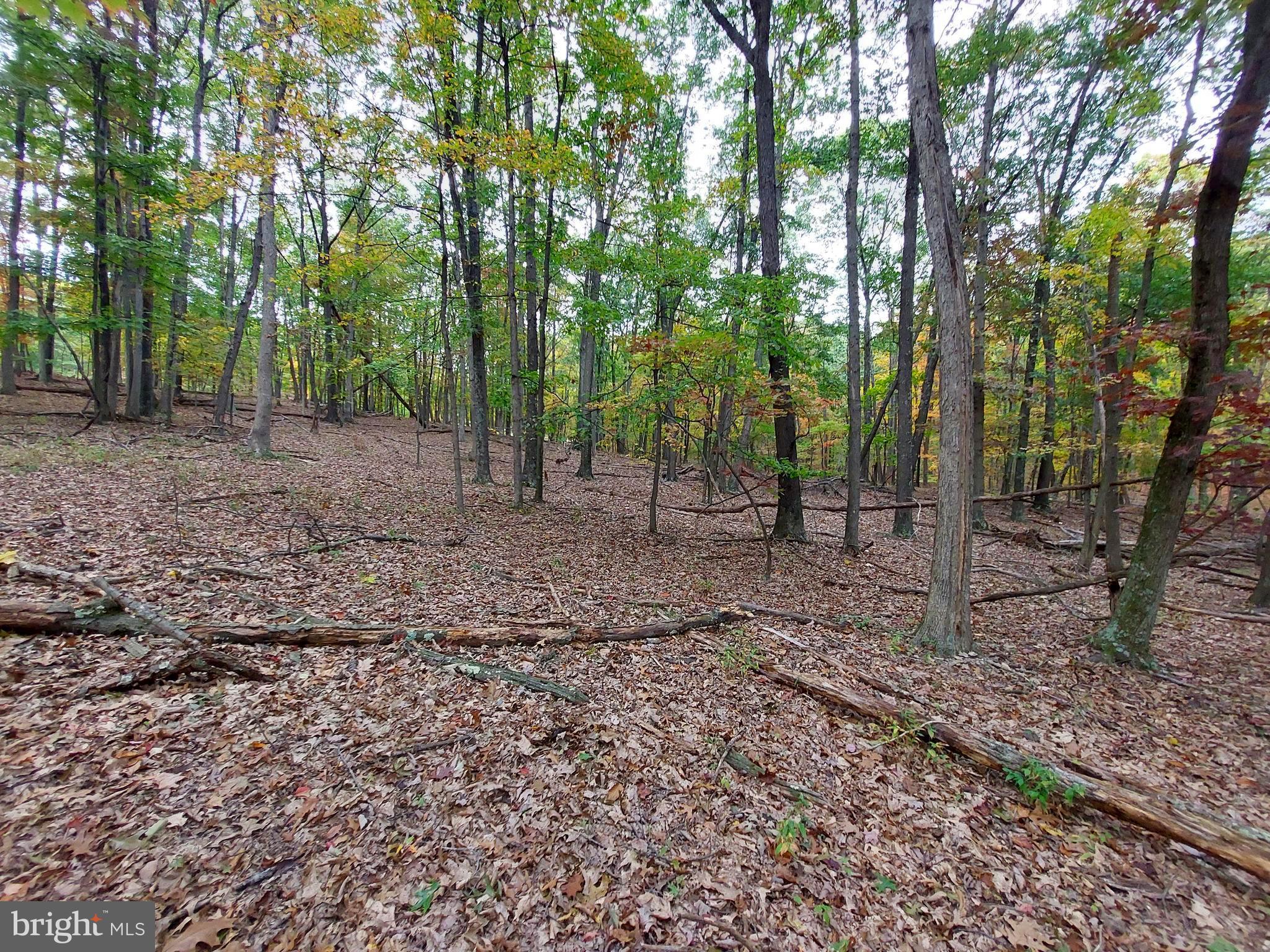 SPRING GAP MOUNTAIN - Land