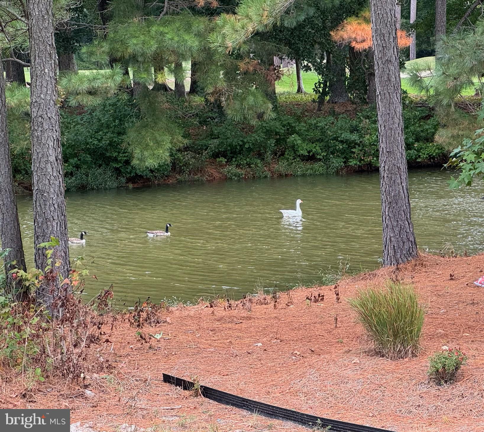 RIVER RUN - Residential