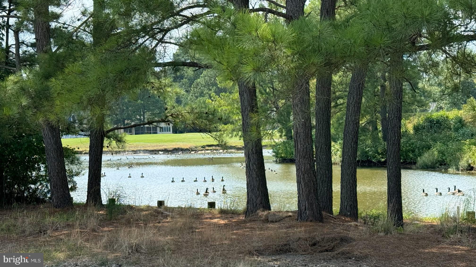 RIVER RUN - Residential