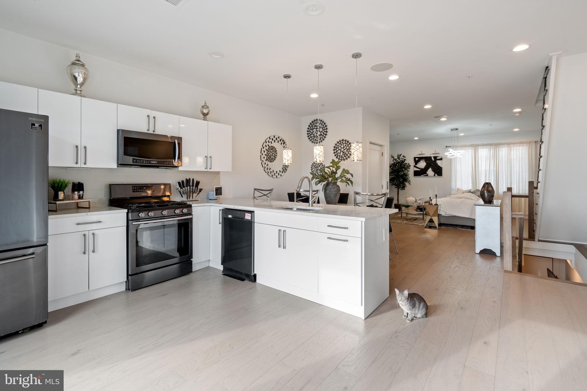 MANAYUNK - Residential