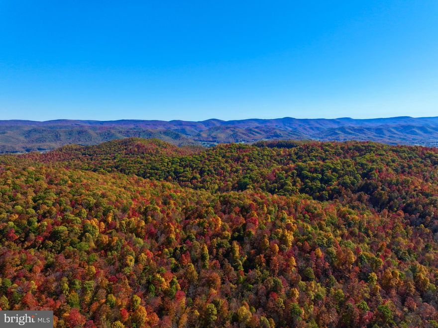 "Mill Creek Magnificent" TRULY One of a kind property just minutes outside of Mill Creek & Elkins, West Virginia. Escape to this private 660 +/- ACRE tract completely surrounded by the Appalachian Mountains! This paradise offers your own, private 2 + mile Native Brook Trout Stream meandering through the middle of the property, 14 spring fed trout ponds, 3 named CAVES including one mile long Gooseberry Cave, on the National Register. This property consists of mainly hardwoods, mixing in 3 +/- million-board-feet while supporting 25 +/- acres of clover food plots for deer, bear, turkey, & grouse. 6 mile trail system throughout property makes for easy access. Recently surveyed! 1.3 +/- miles of road frontage and electric at the property line. Perk test passed septic & approved well site. No restrictions & no zoning. Just 15 miles to Elkins & 25 miles to Snowshoe Mountain Resort. 50 miles to Canaan Valley Resort & Timberline Mountain. Come see it today!