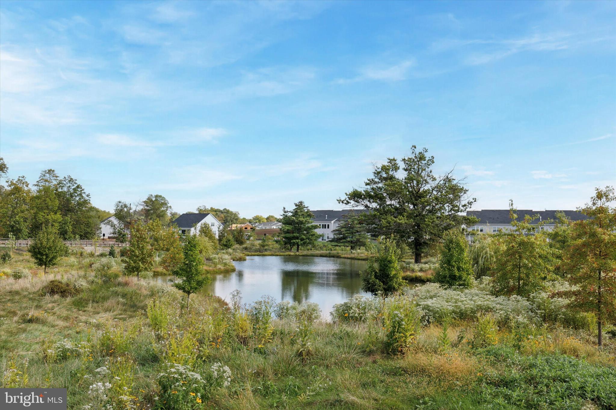 REGENCY AT WATERSIDE - Residential