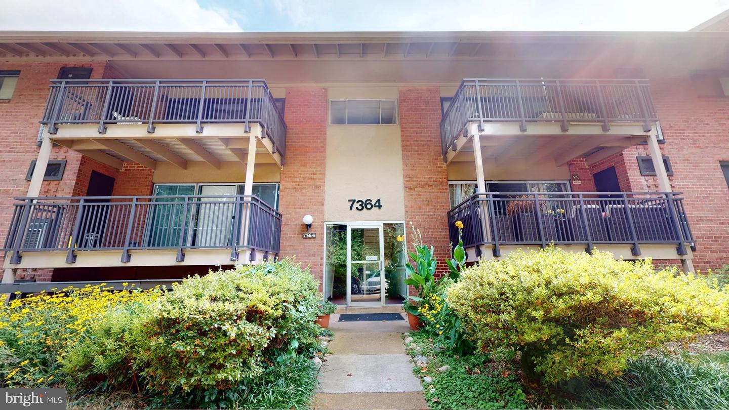 Experience modern living in this fully renovated 1-bedroom, 1-bath condo in Timberlane Village Garden Condominiums, Falls Church. Ideally located near Rt. 29 and West St., this garden condo features an open concept design with an expansive wall of windows, allowing abundant natural light, and a balcony with a serene view of the pool. Recently updated carpet, paint, stunning triple sliding glass doors and windows. The kitchen shines with white cabinets, quartz countertops, and gray flooring, while the completely renovated bathroom offers updated vanity, flooring and tile. The luxurious gray plush carpet adds warmth and ambiance throughout the space. The photos show furniture that can be included or removed based on your preference. Located inside the beltway, this condo is two miles from the Mosaic District, which offers a variety of restaurants, shops, and a movie theater. Downtown Falls Church is also just two miles away, providing even more dining and entertainment options. Commuters will appreciate the proximity to three metro stations: East Falls Church, West Falls Church, and Dunn Loring, all just 10 minutes away, offering easy access to DC. Don't miss this opportunity to live in a beautifully renovated home in a prime location. Available furnished or unfurnished.