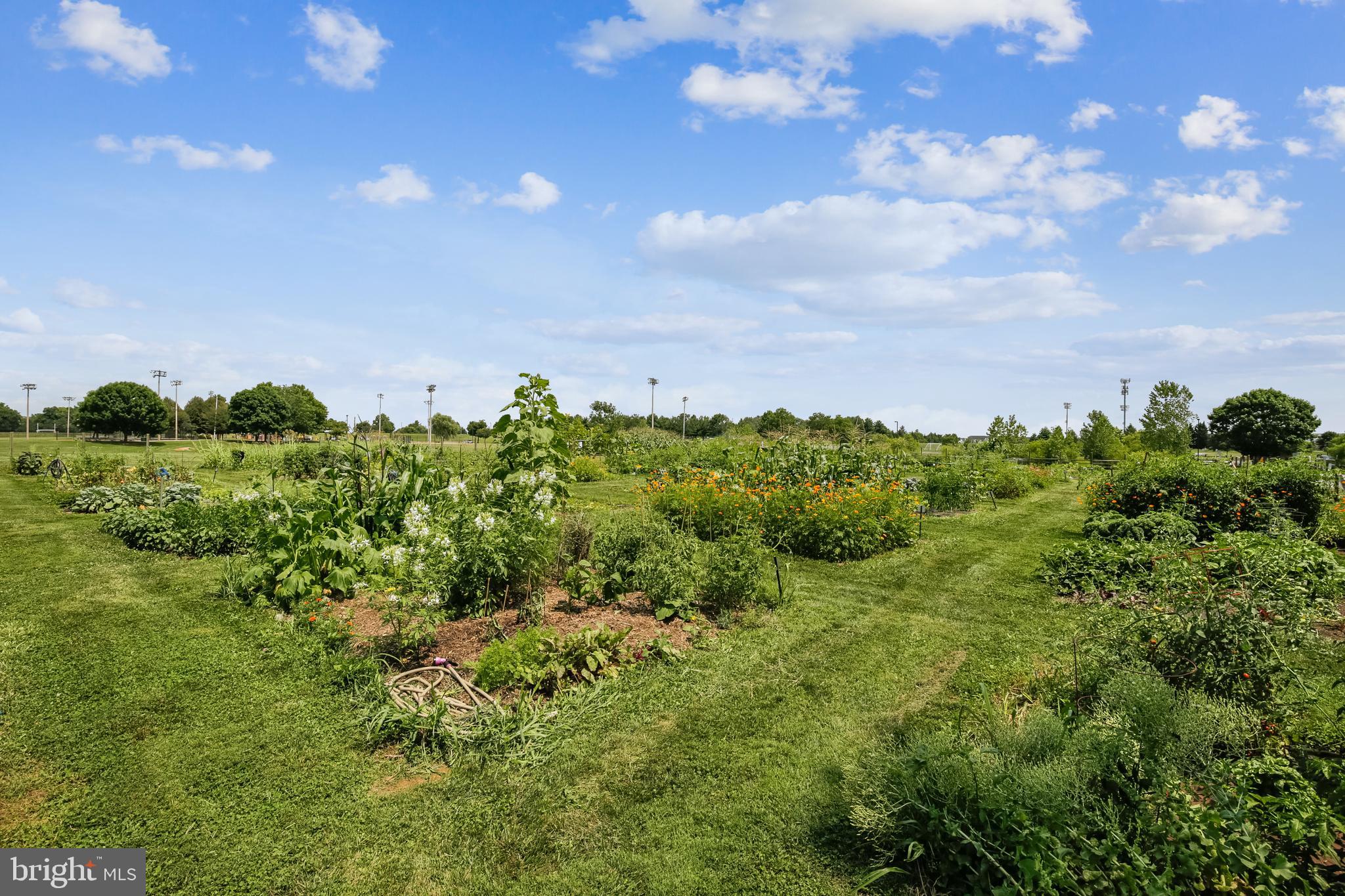 ROBIN MEADOWS - Residential