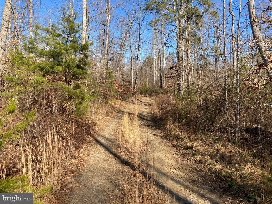 40+ acres located in Northern Orane County.  Lots of possibilities and privacy!  Secluded property great for hunting and recreation.  Showings are available with an appointment. Photos coming soon!