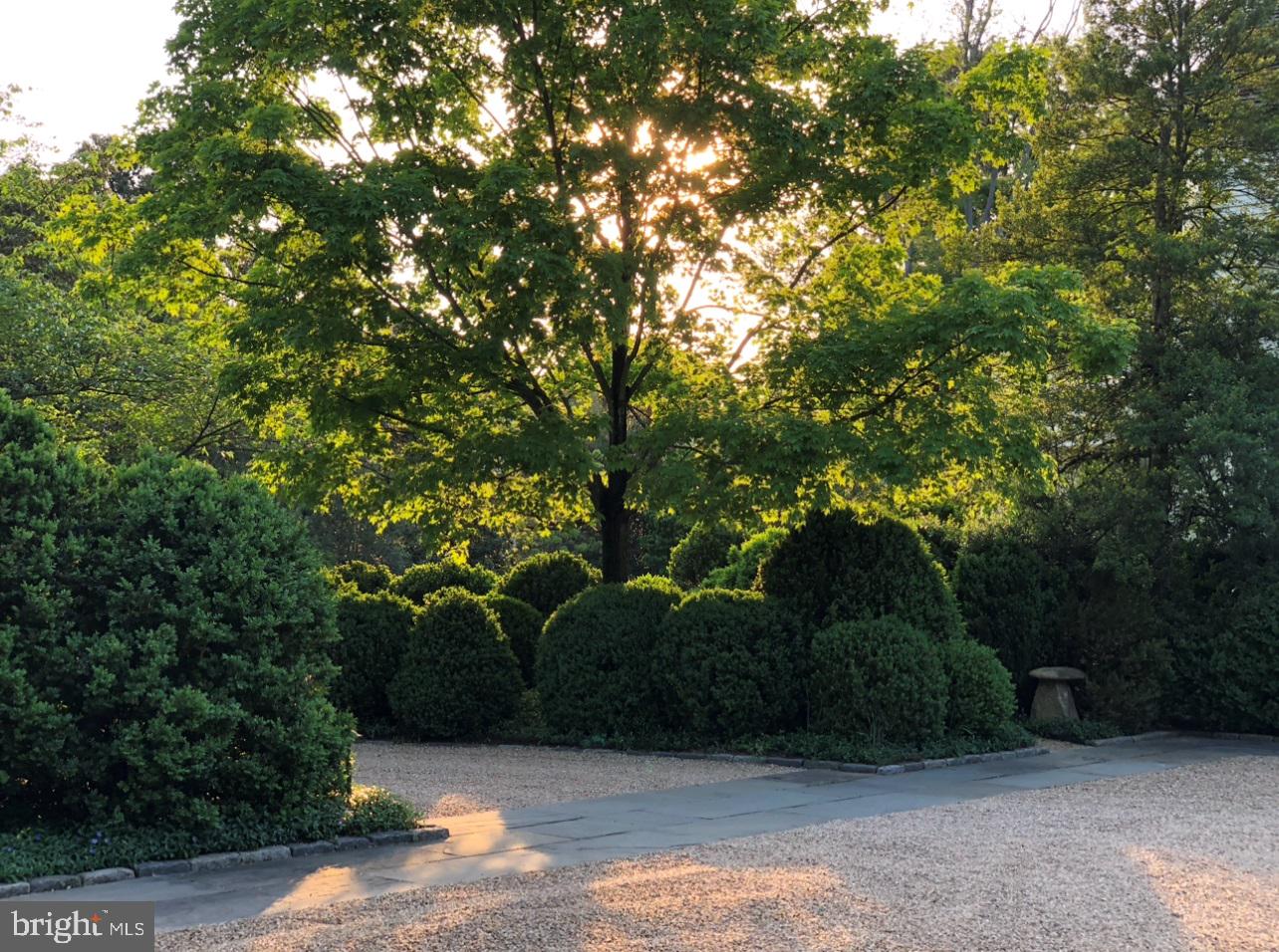 LANGLEY FARMS - Residential
