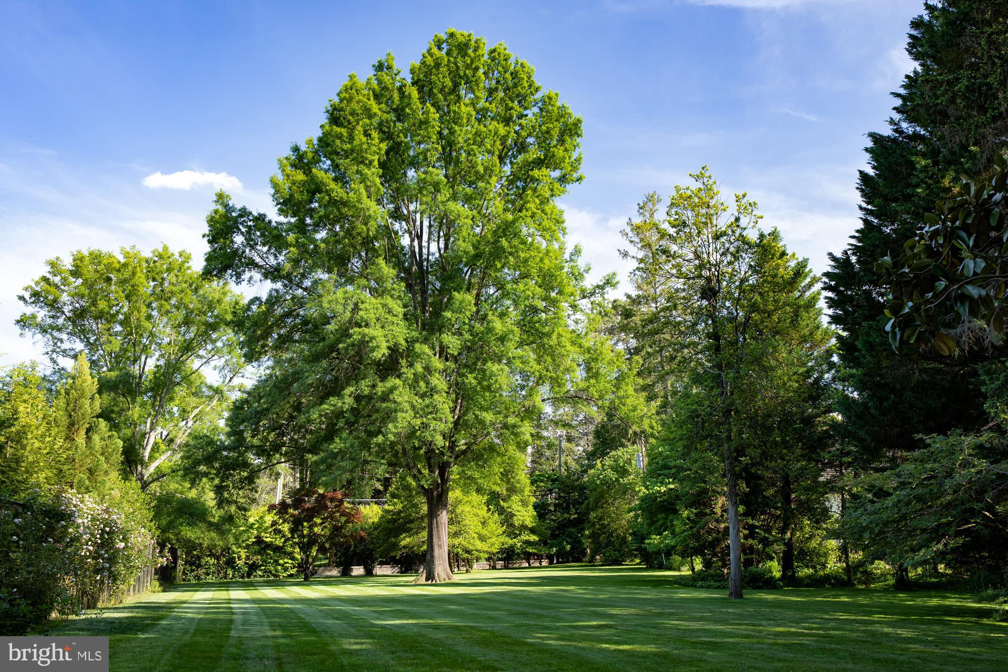 LANGLEY FARMS - Residential