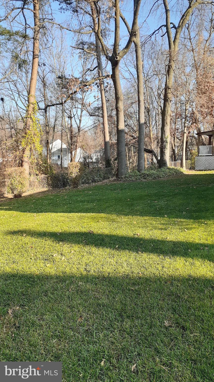 GOLDEN TREE - Residential