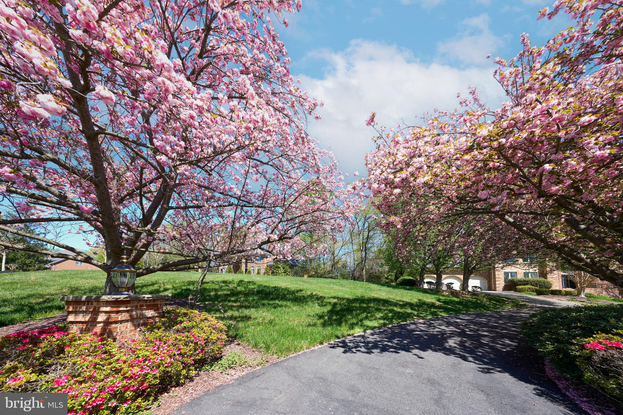 SILKWOOD - Residential