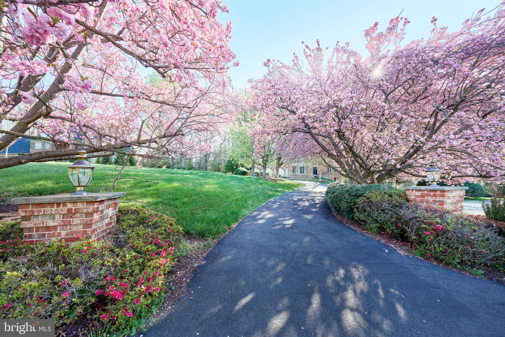 SILKWOOD - Residential