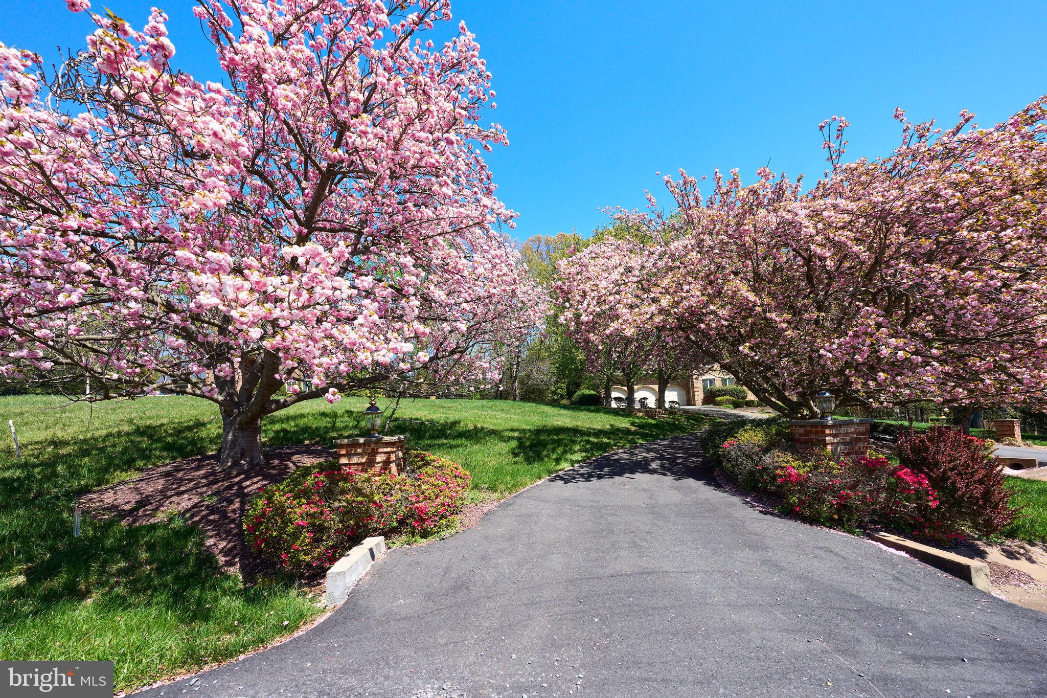 SILKWOOD - Residential