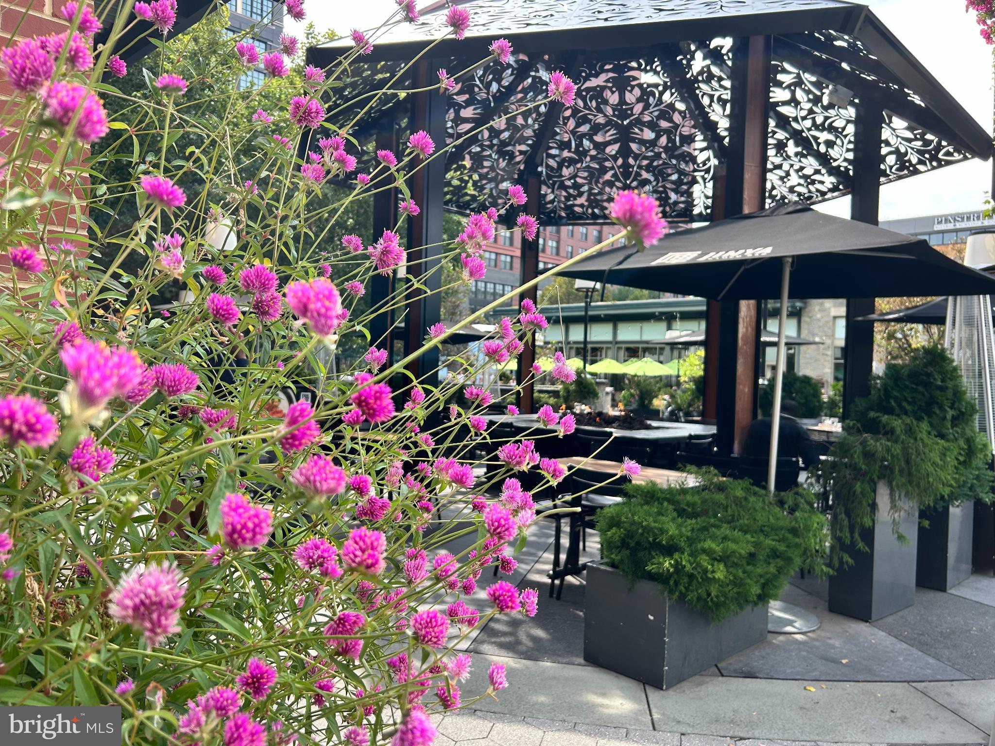 OLD GEORGETOWN VILLAGE - Residential