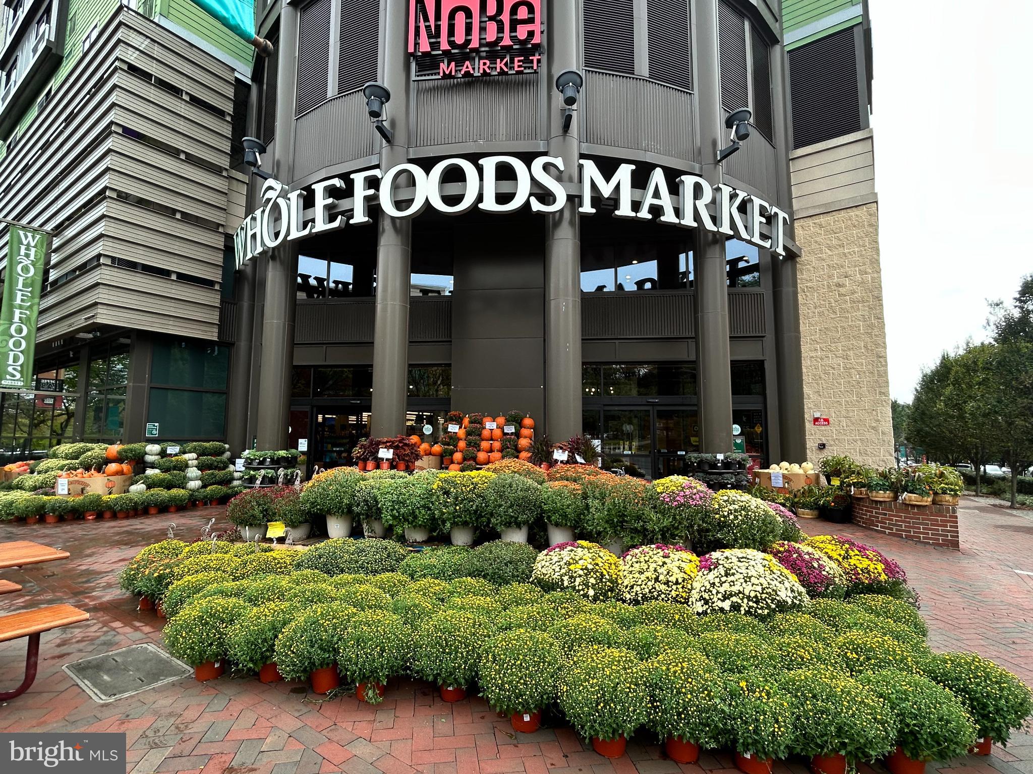 OLD GEORGETOWN VILLAGE - Residential