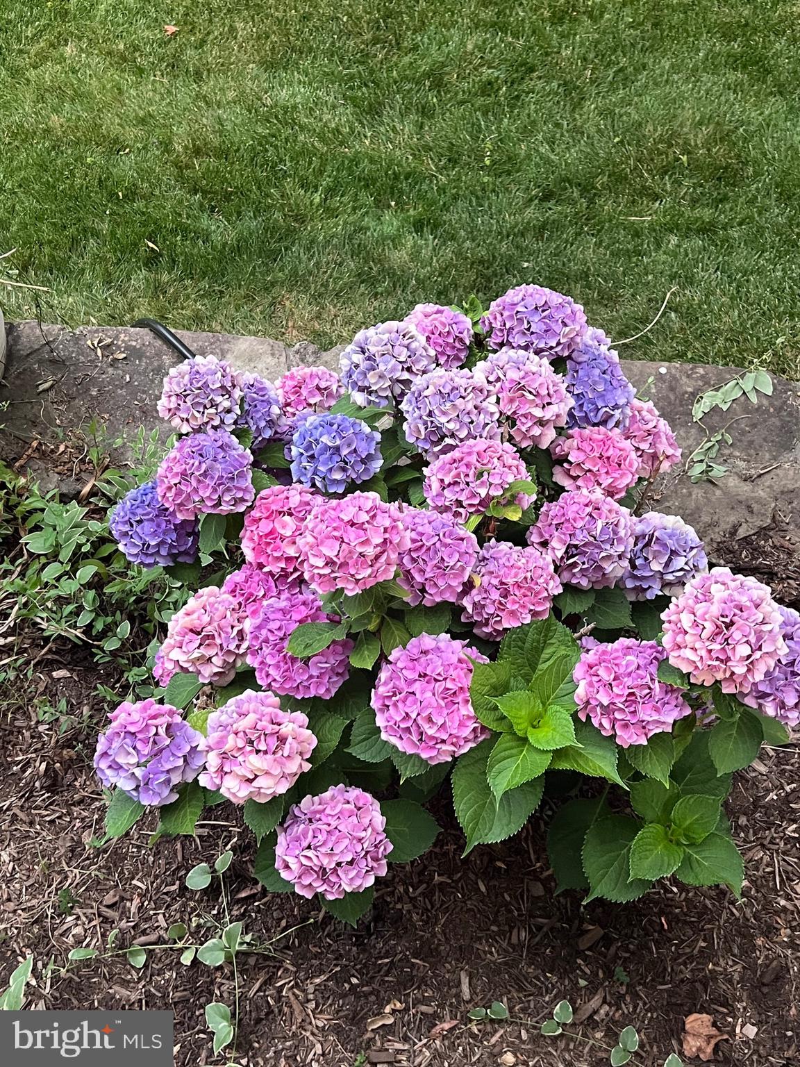 FAIRFAX ACRES - Residential