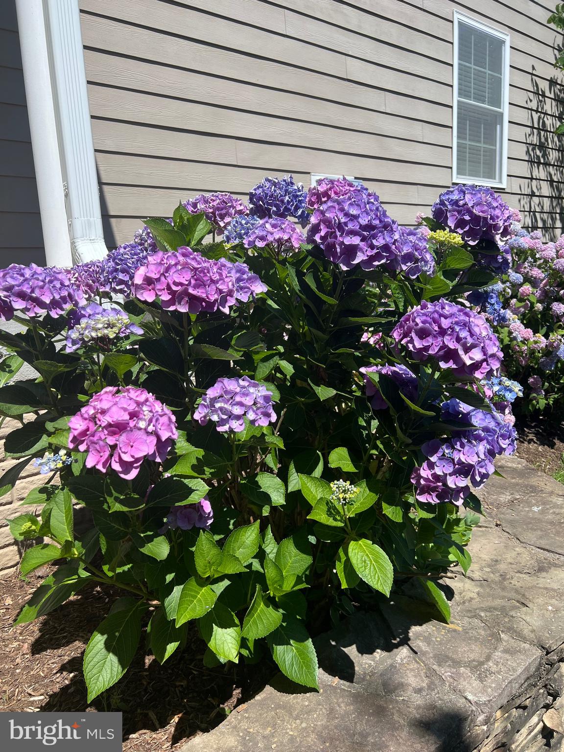 FAIRFAX ACRES - Residential