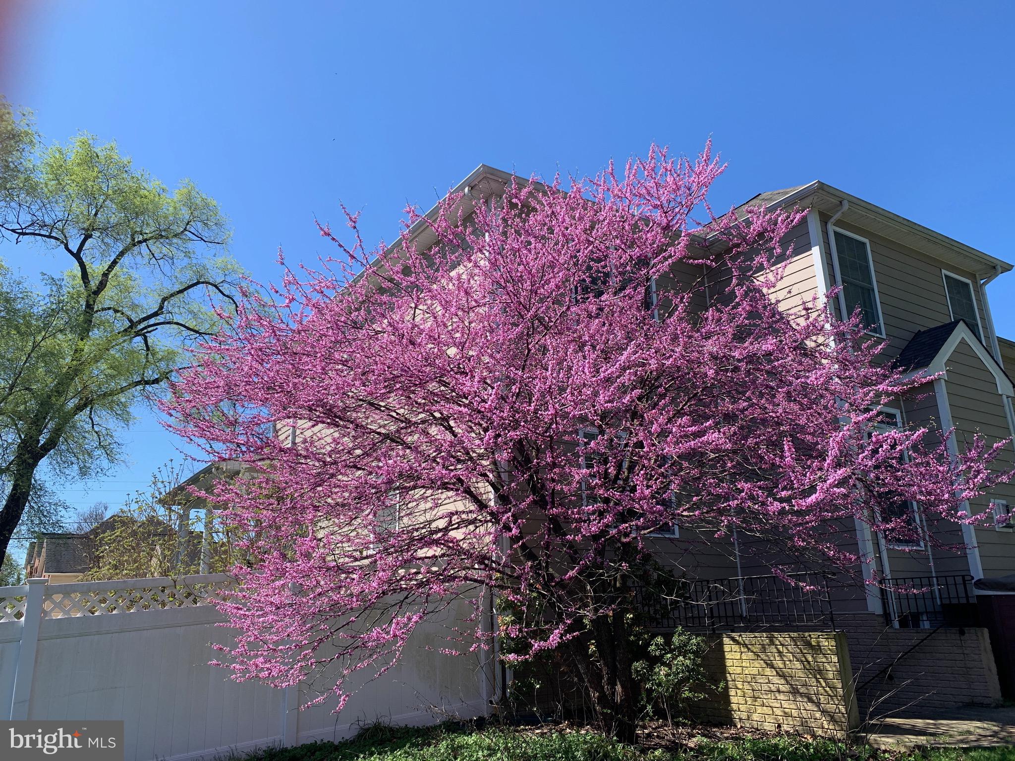 FAIRFAX ACRES - Residential