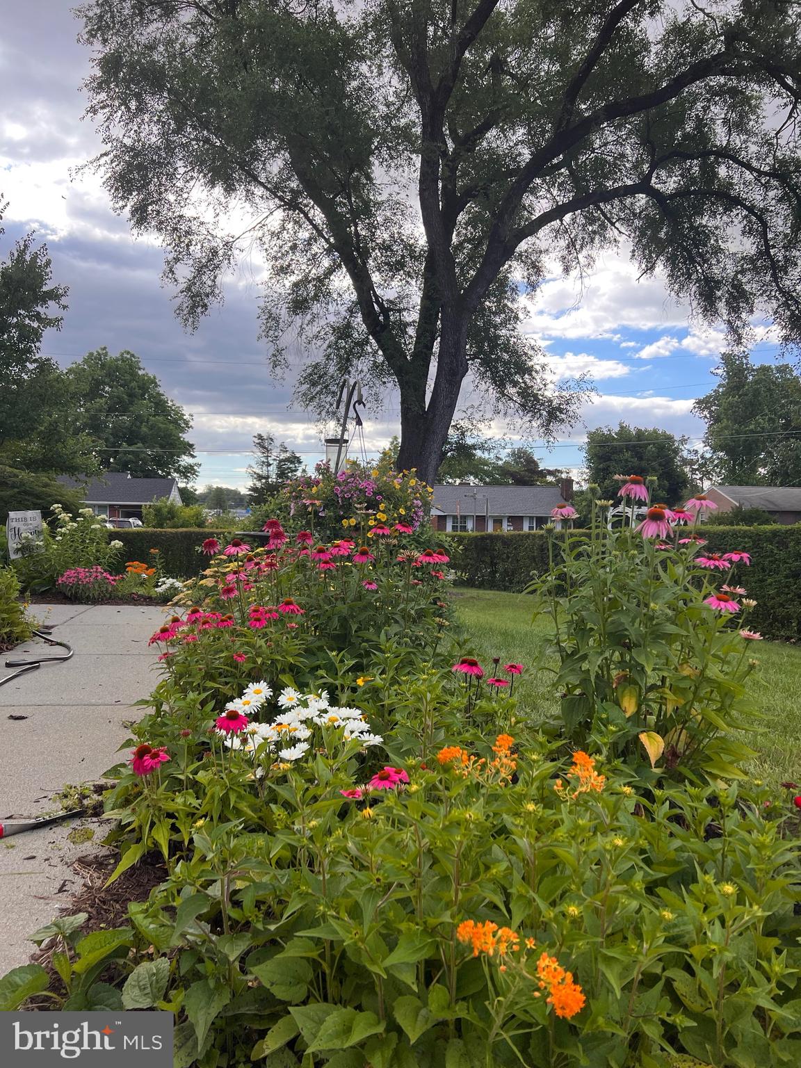 FAIRFAX ACRES - Residential