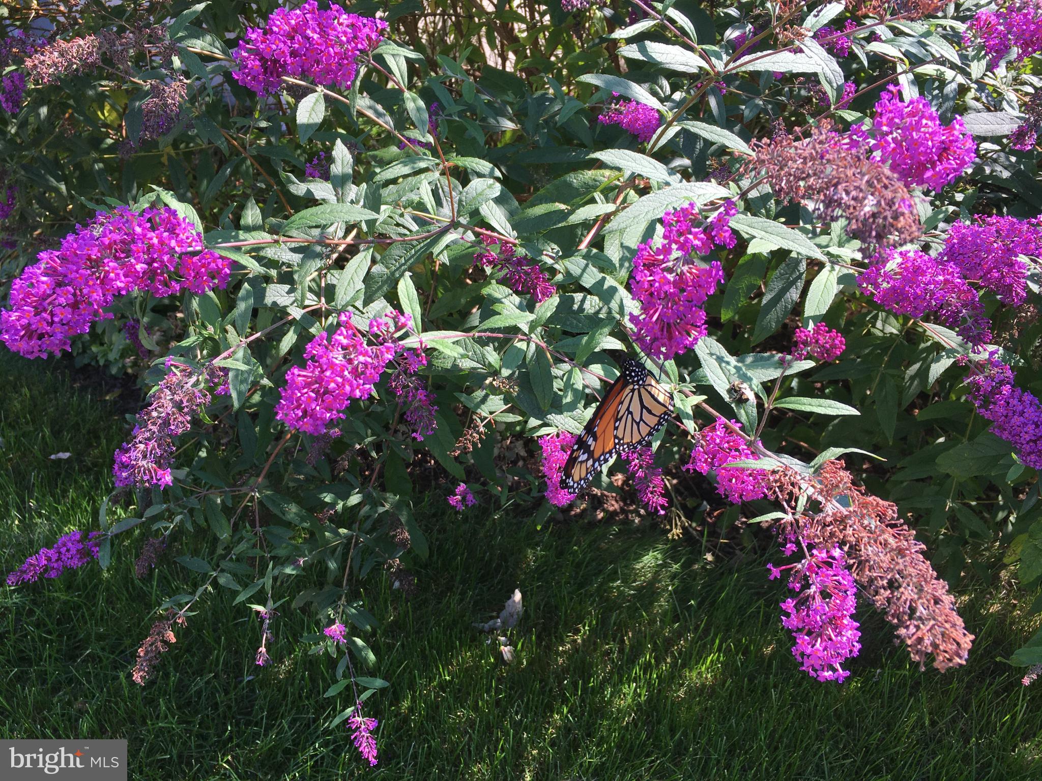 OAK POINTE - Residential