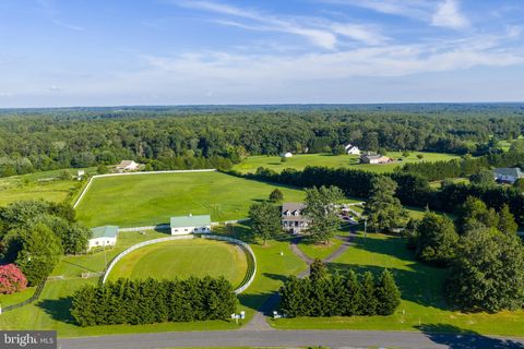 Homes For Sale - 27472 Strawberry Hill Road<br/> Orange County, RHOADESVILLE, VA 22542