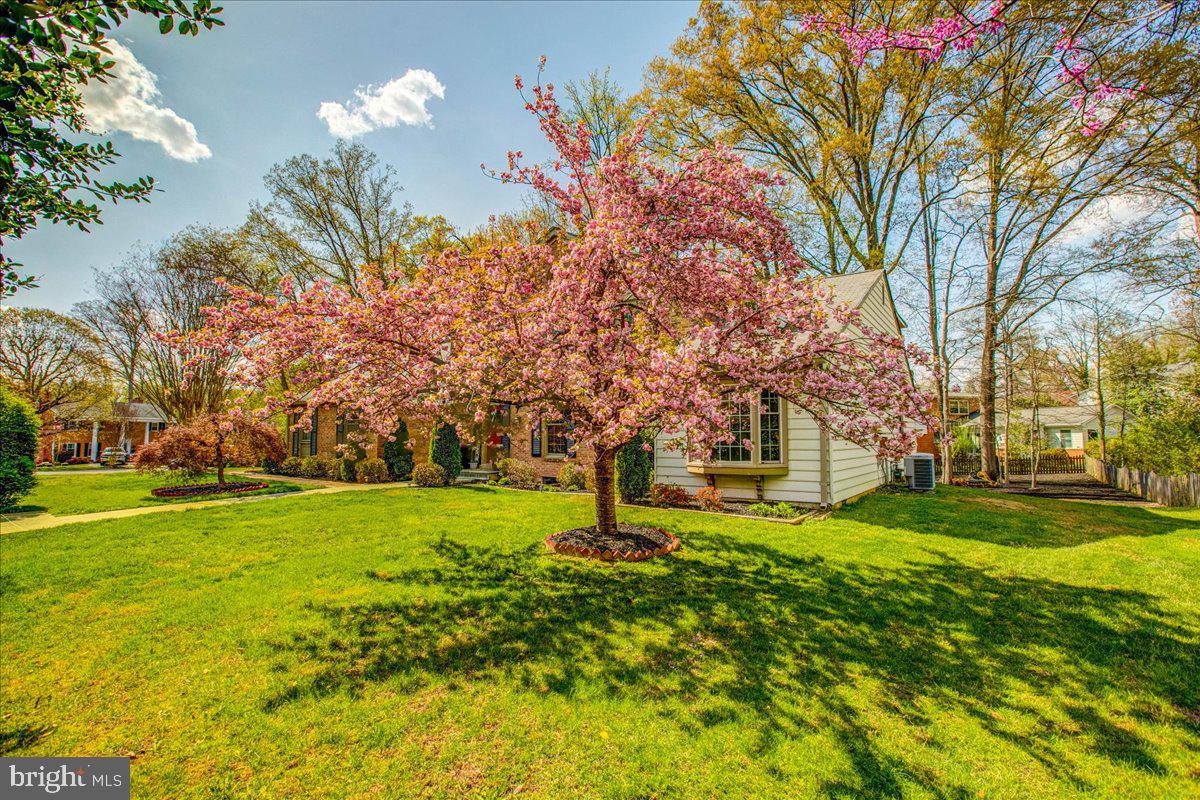 4206 MOUNT VERNON MEMORIAL HIGHWAY