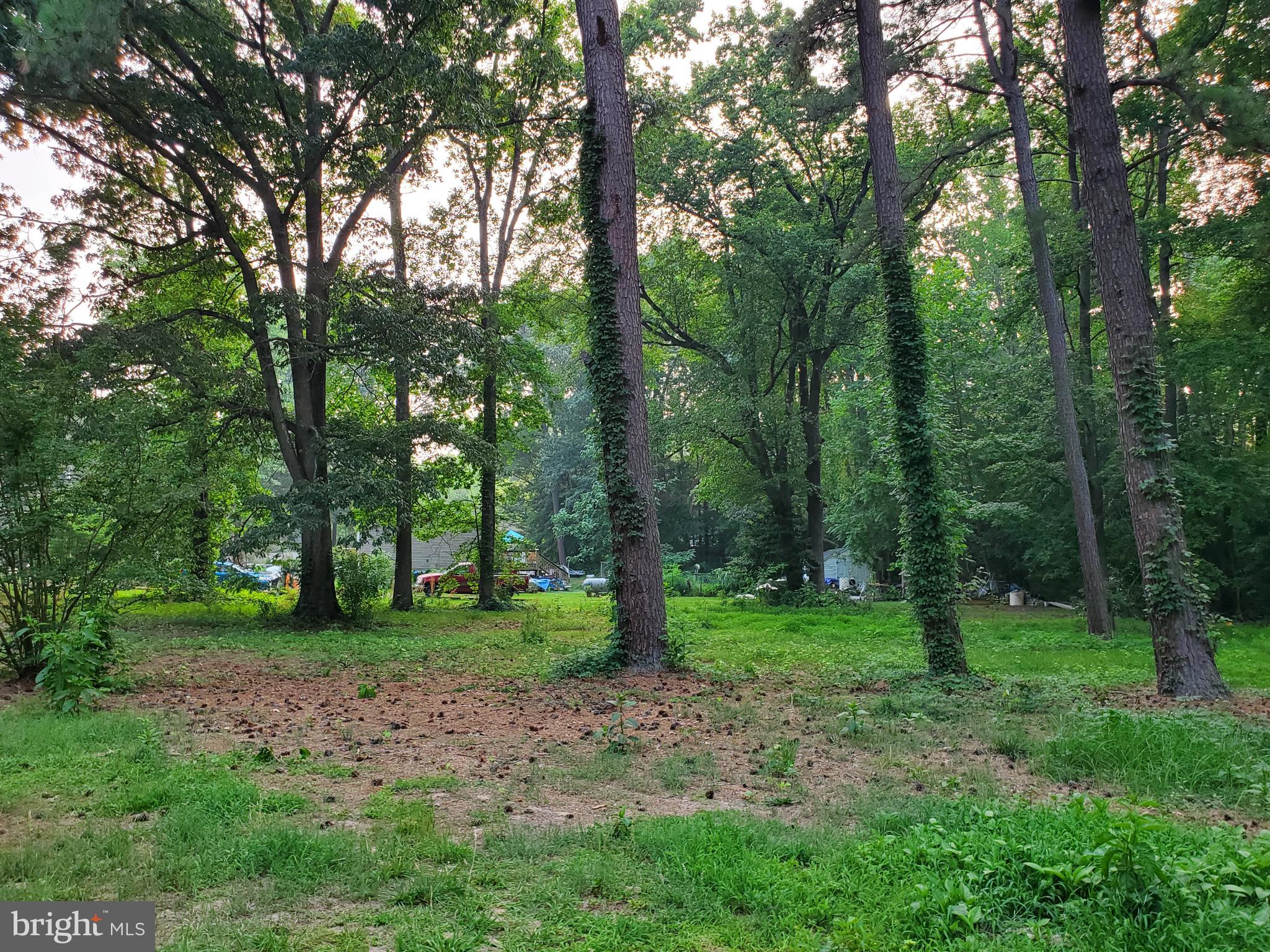 PLACID BAY ESTATES - Residential