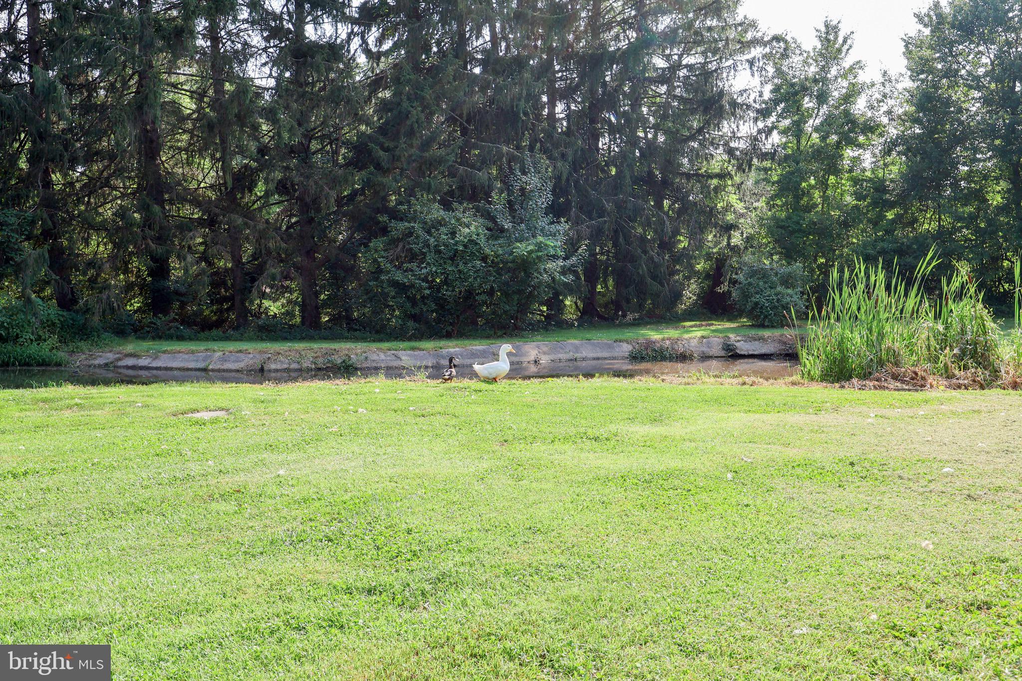 3610 ADY ROAD