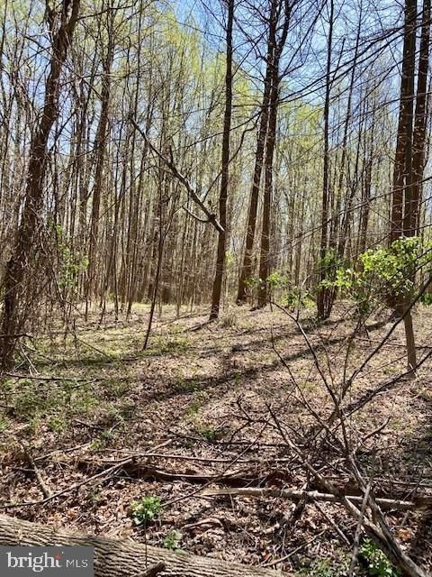 Vacant Land For Sale - 19230 Chandlee Mill Road<br/> SANDY SPRING, MD 20860