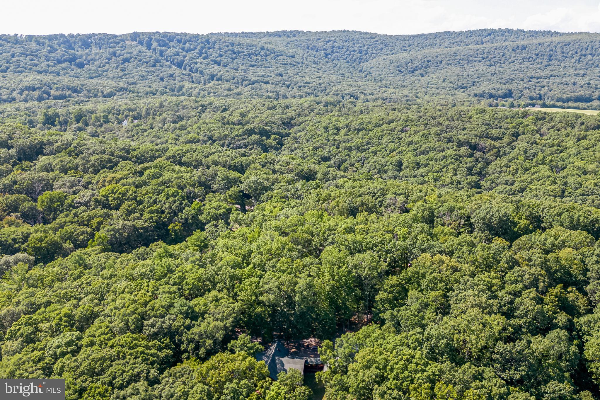 DOGWOOD FLATS - Residential