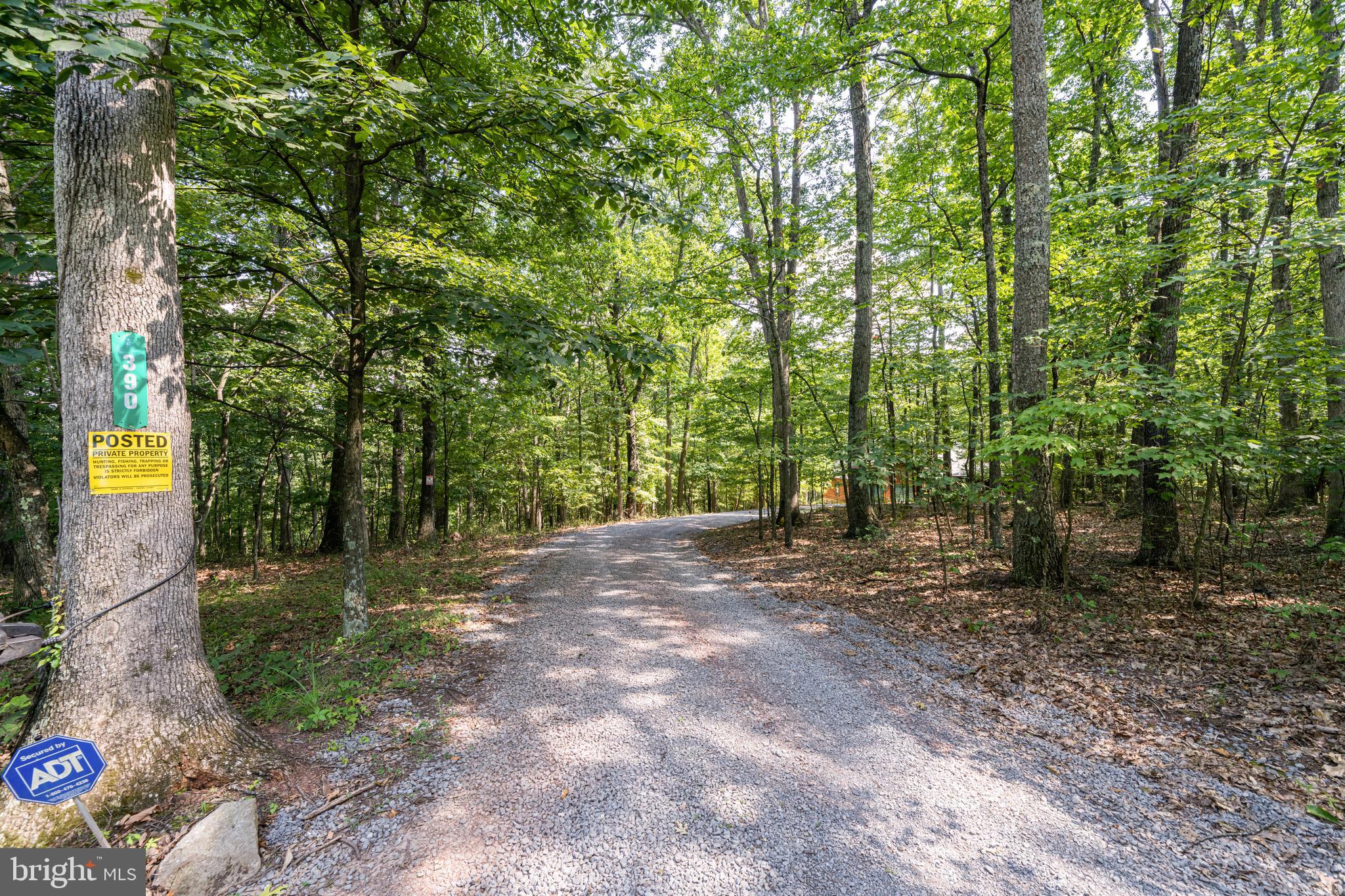 DOGWOOD FLATS - Residential