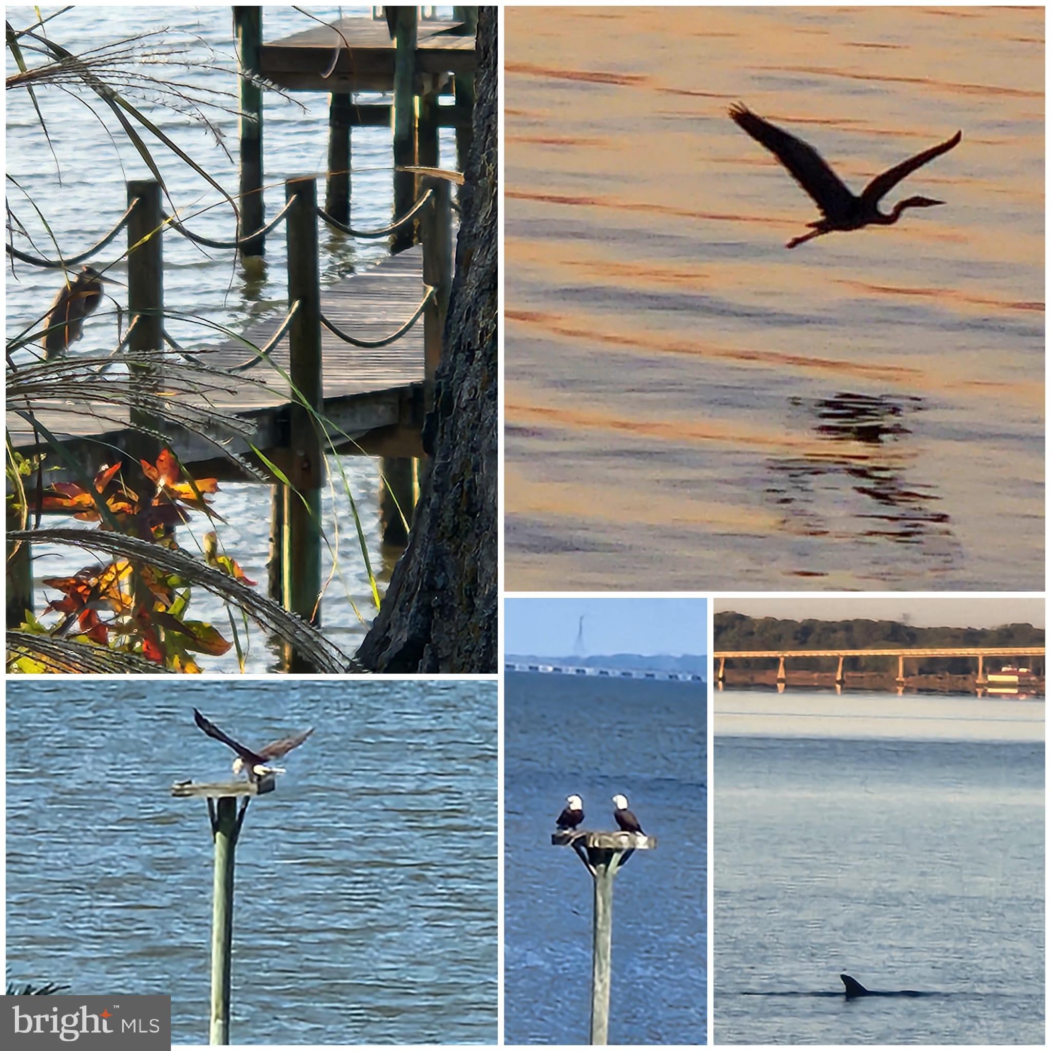 THE RIVERFRONT - Residential