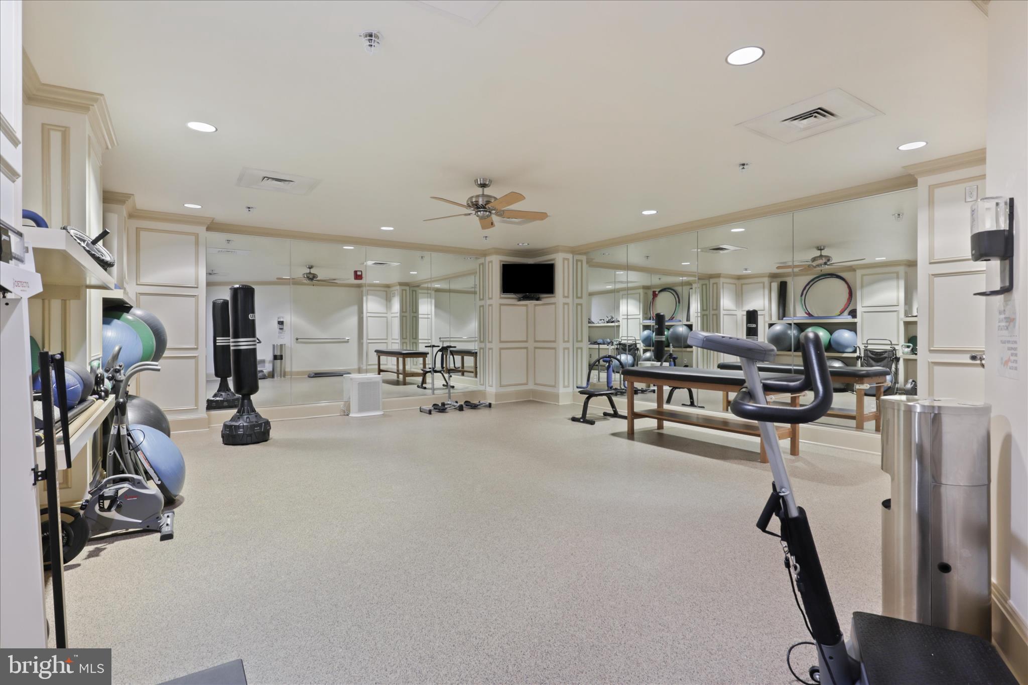 PALLADIUM AT MCLEAN - Residential