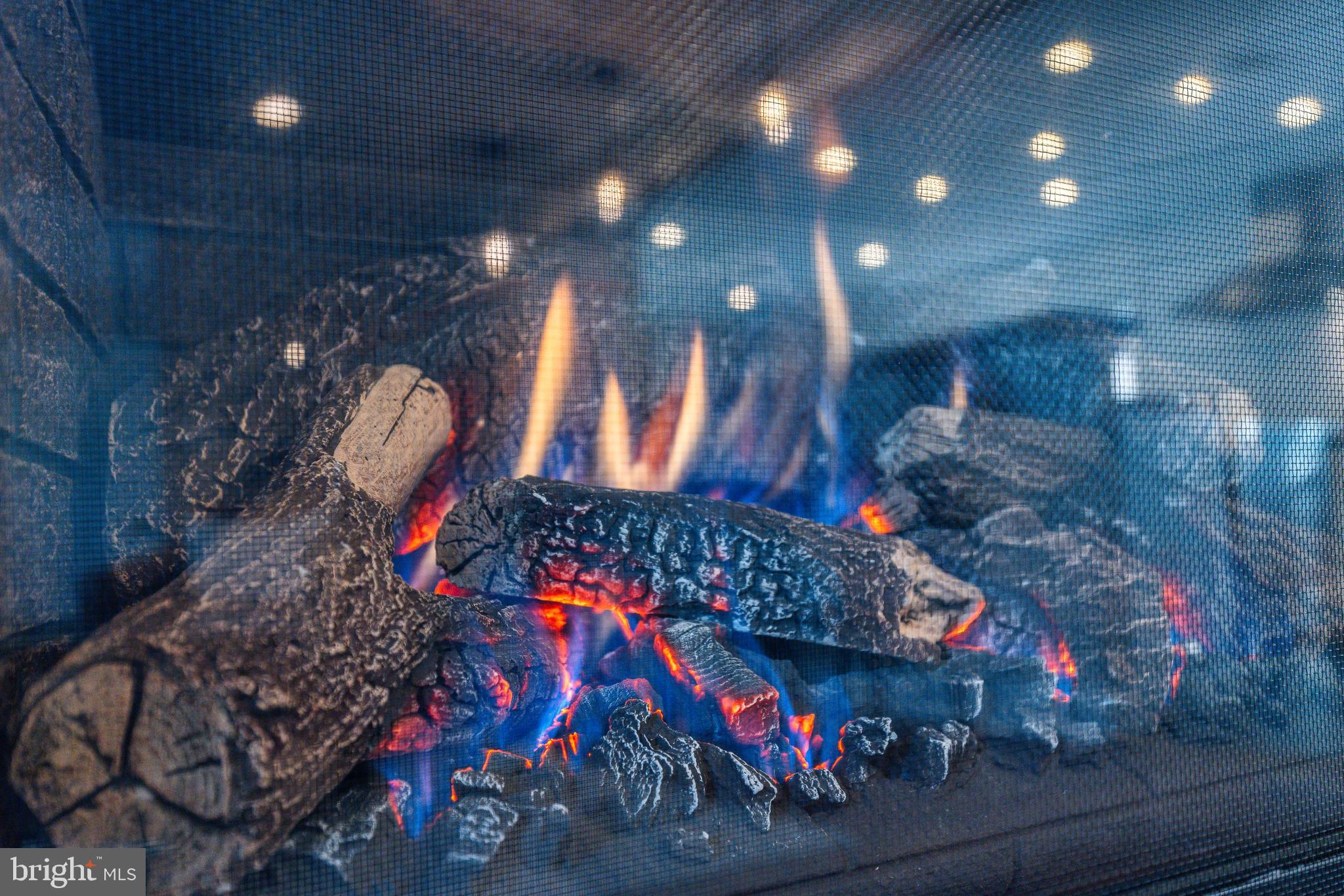 HAMILTON PARK - Residential