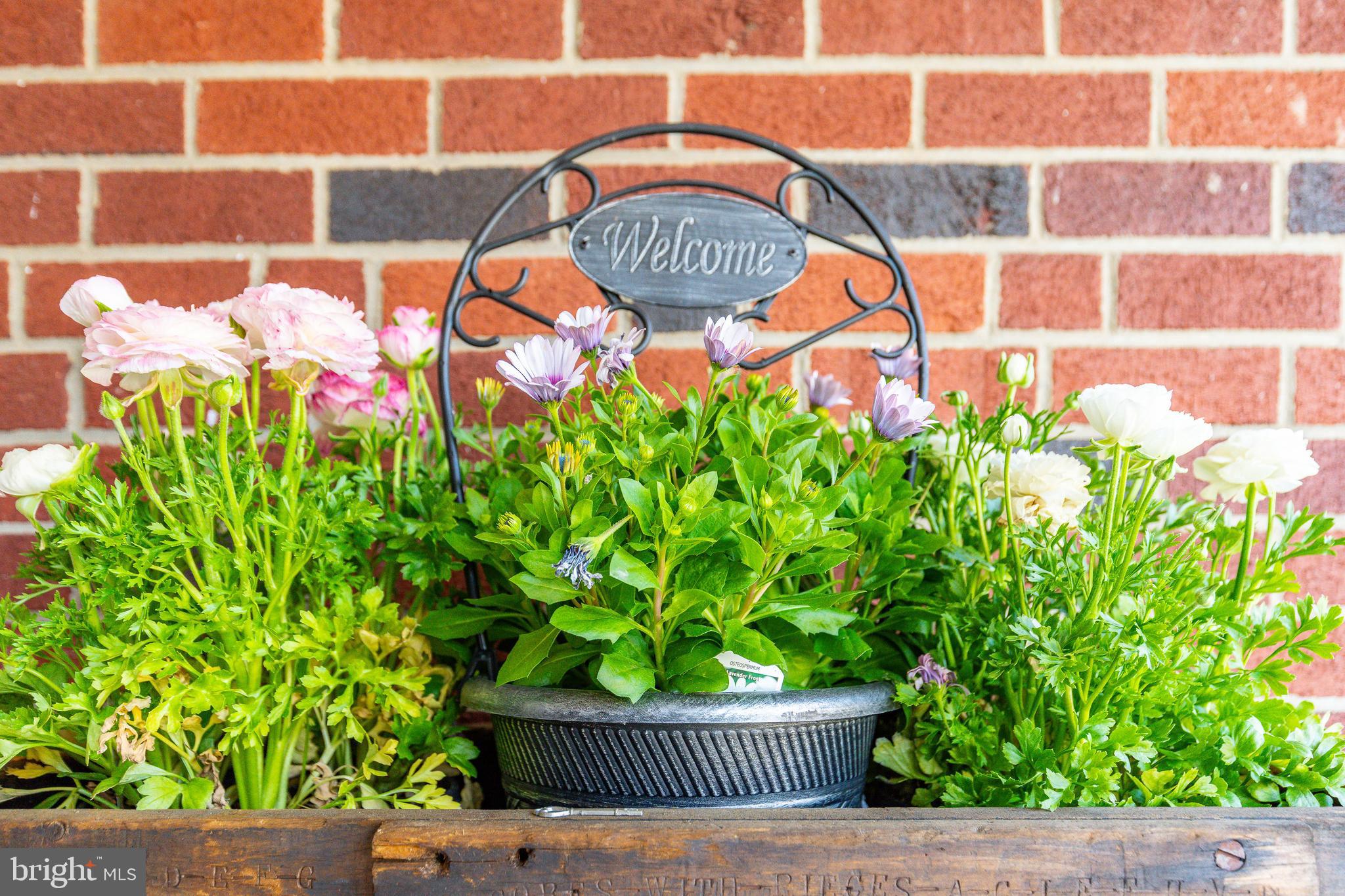 HAMILTON PARK - Residential