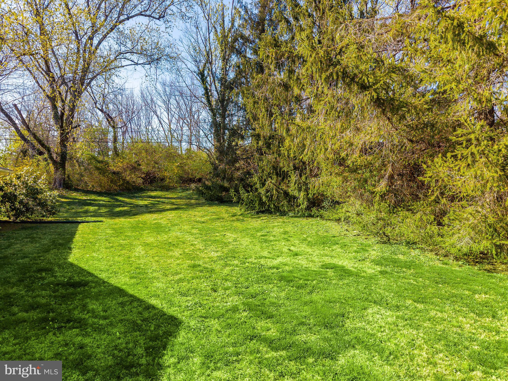 HAMILTON PARK - Residential