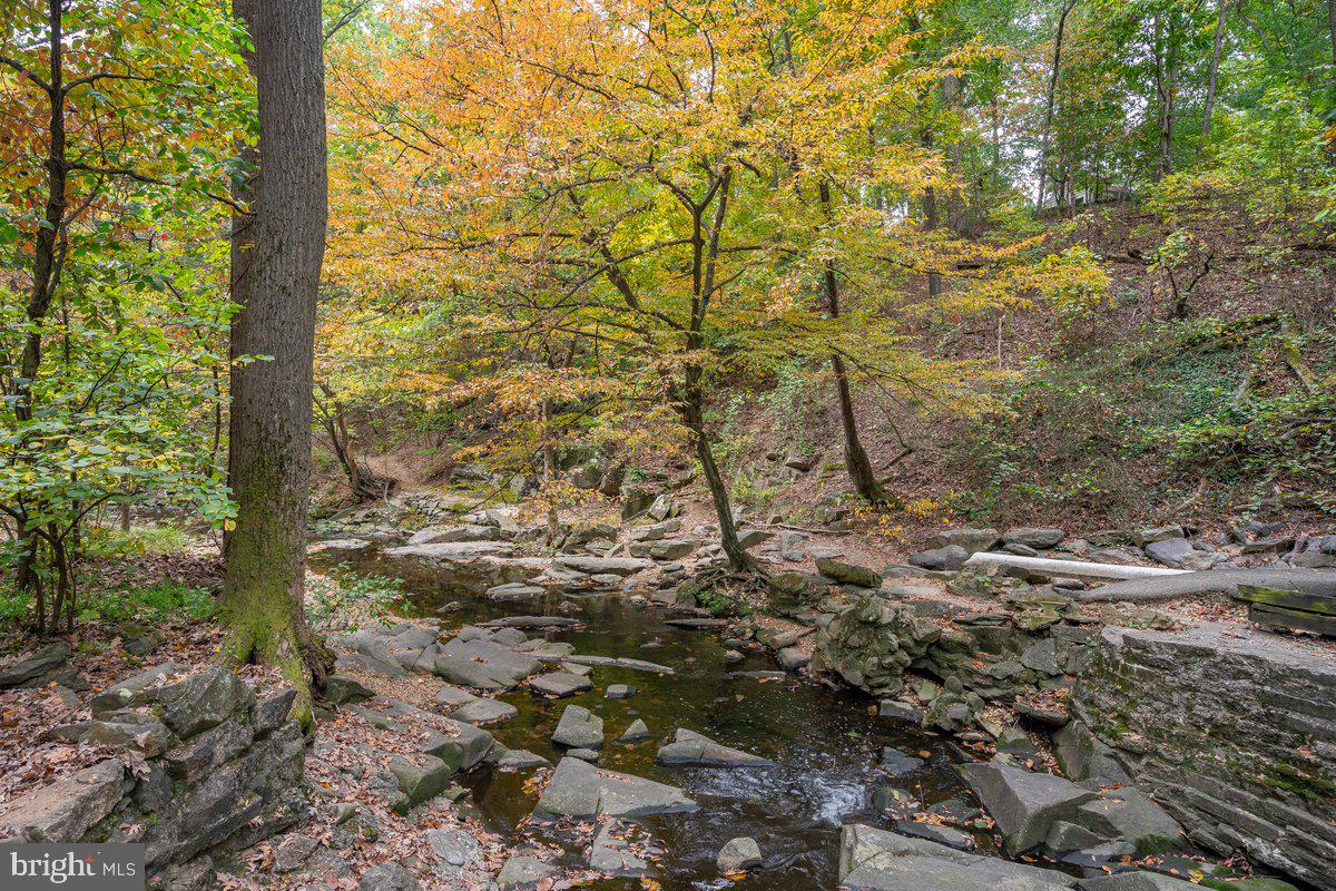 ARLINGTON FOREST - Residential