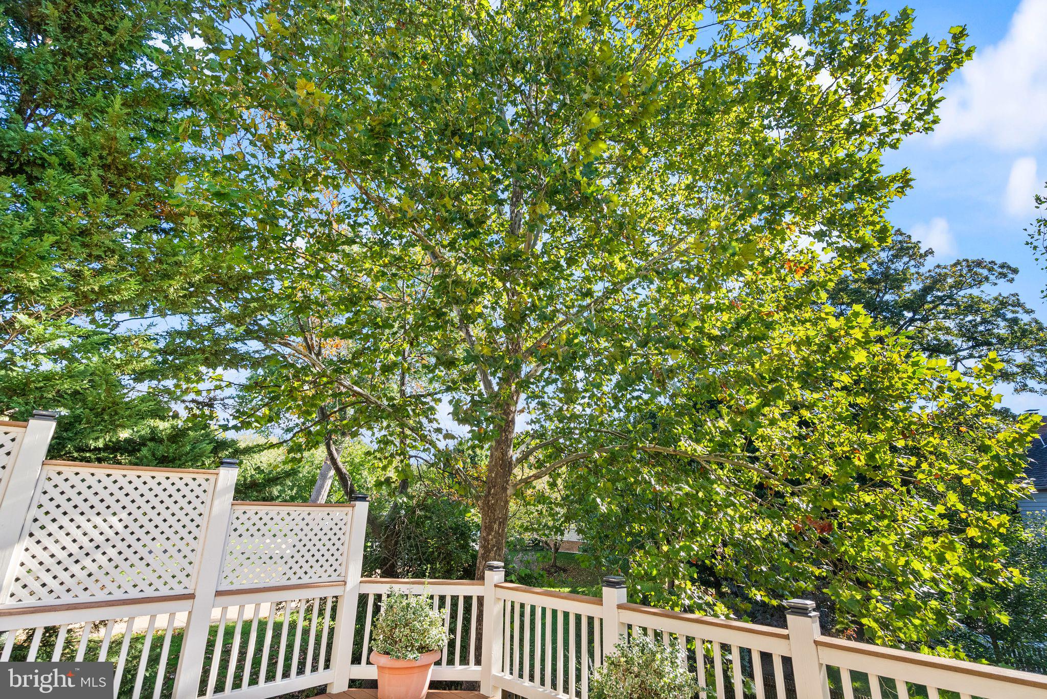 ASHGROVE PLANTATION - Residential