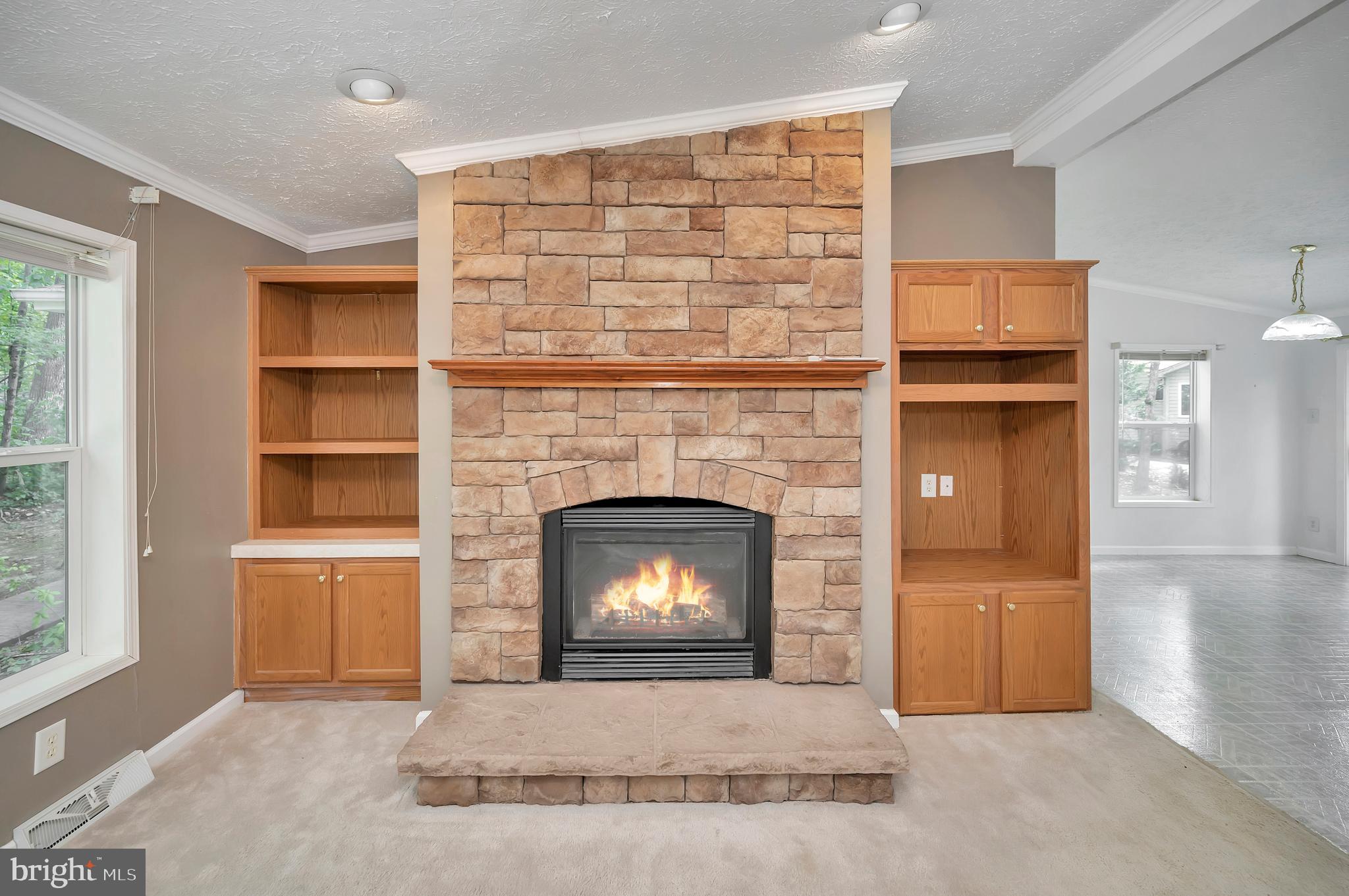 LAKE OF THE WOODS - Residential