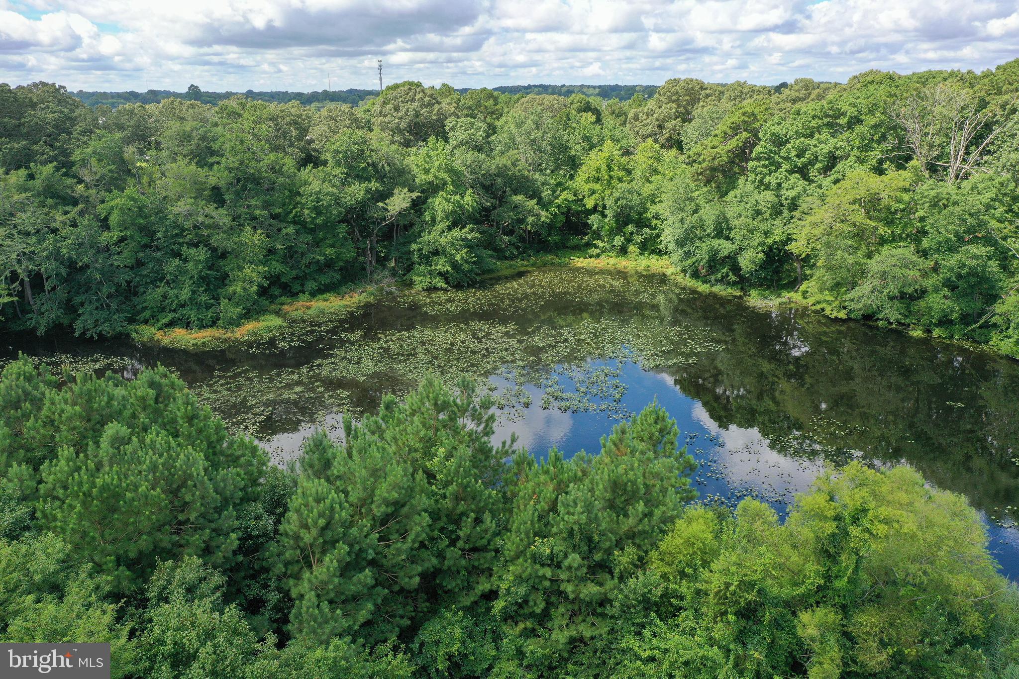 CANAL WOODS CM - Residential