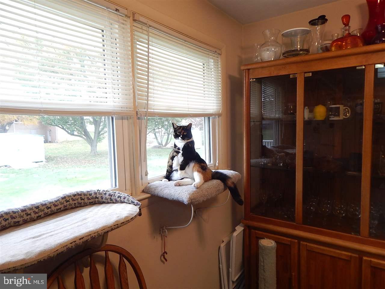 BRIGADOON - Residential